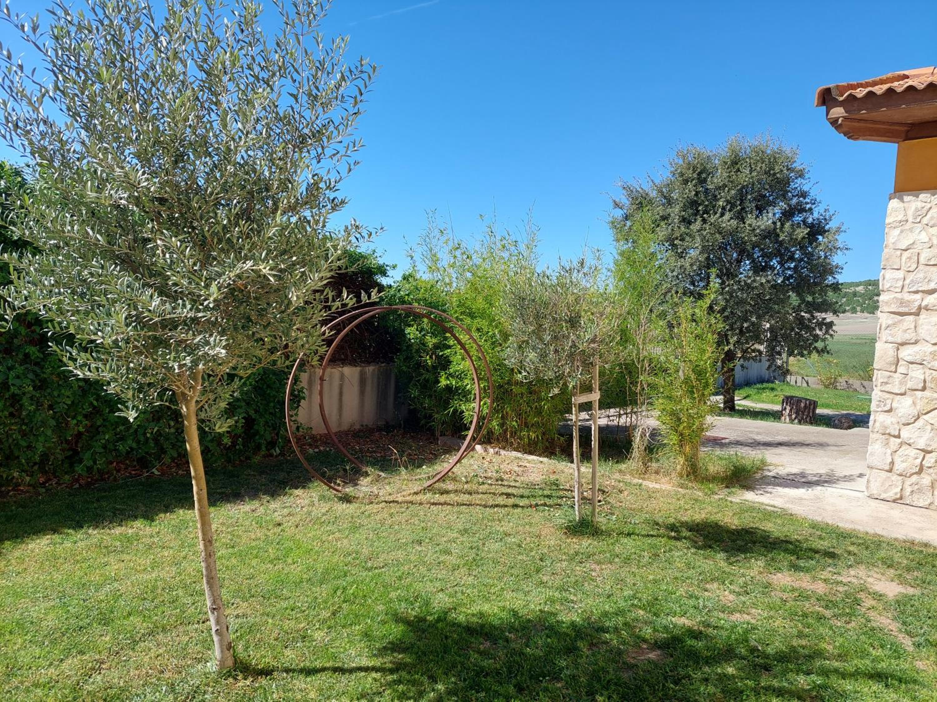 Photo 15