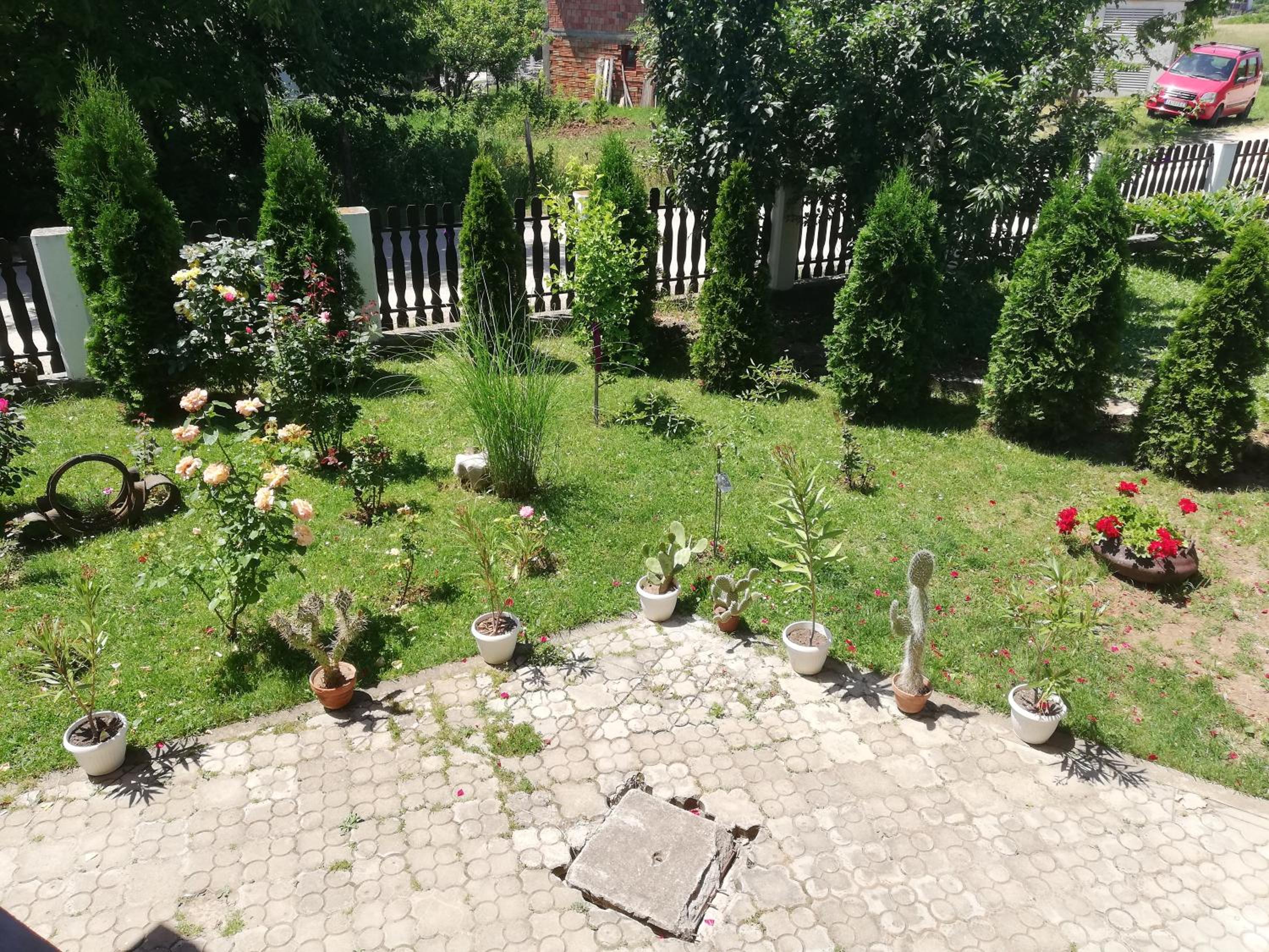 Photo 20