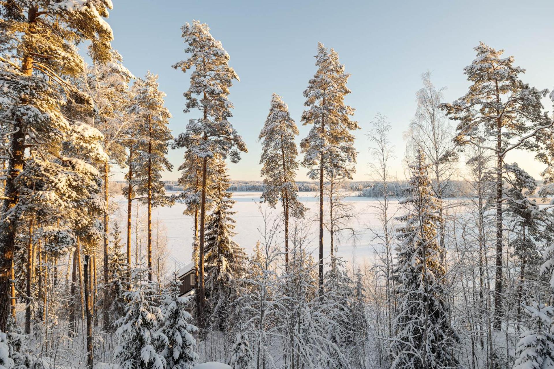 Lehmonkärki Resort