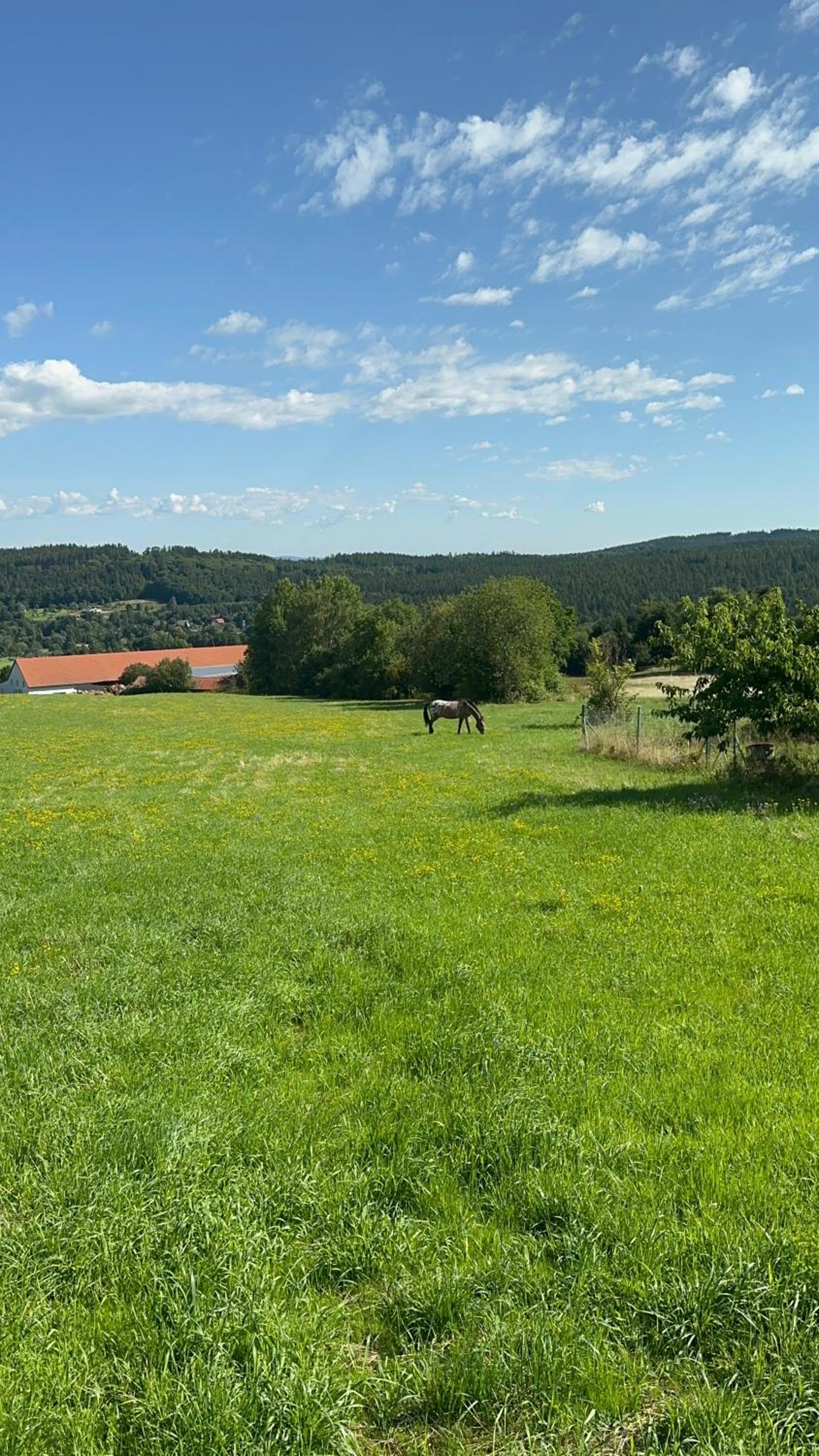 Vila v Brdech s bazénem, infra saunou a vybavením