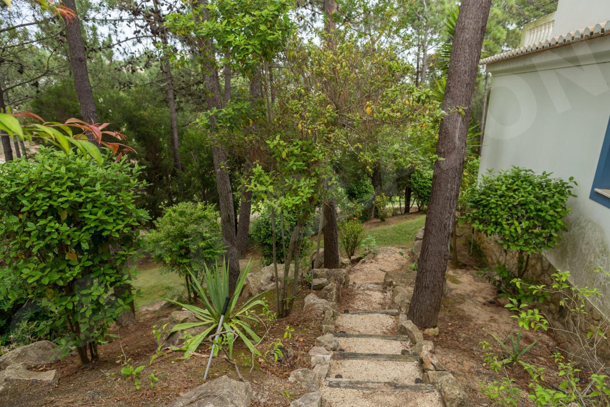 Photo 40
