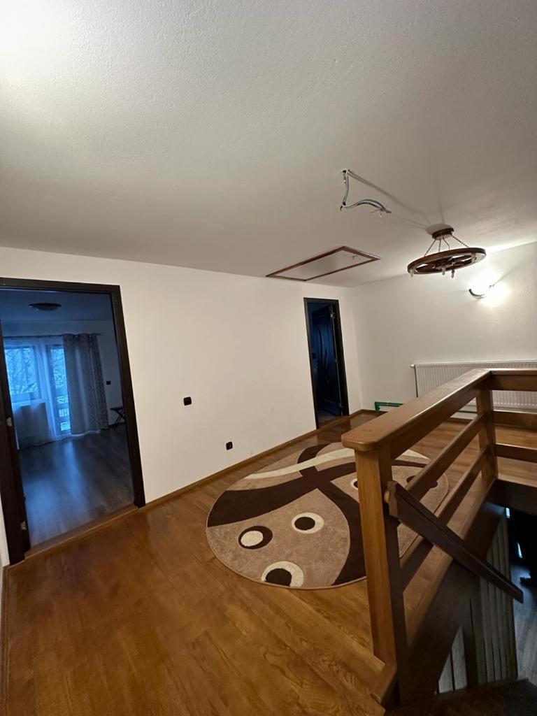 Casa Nicoleta view 5