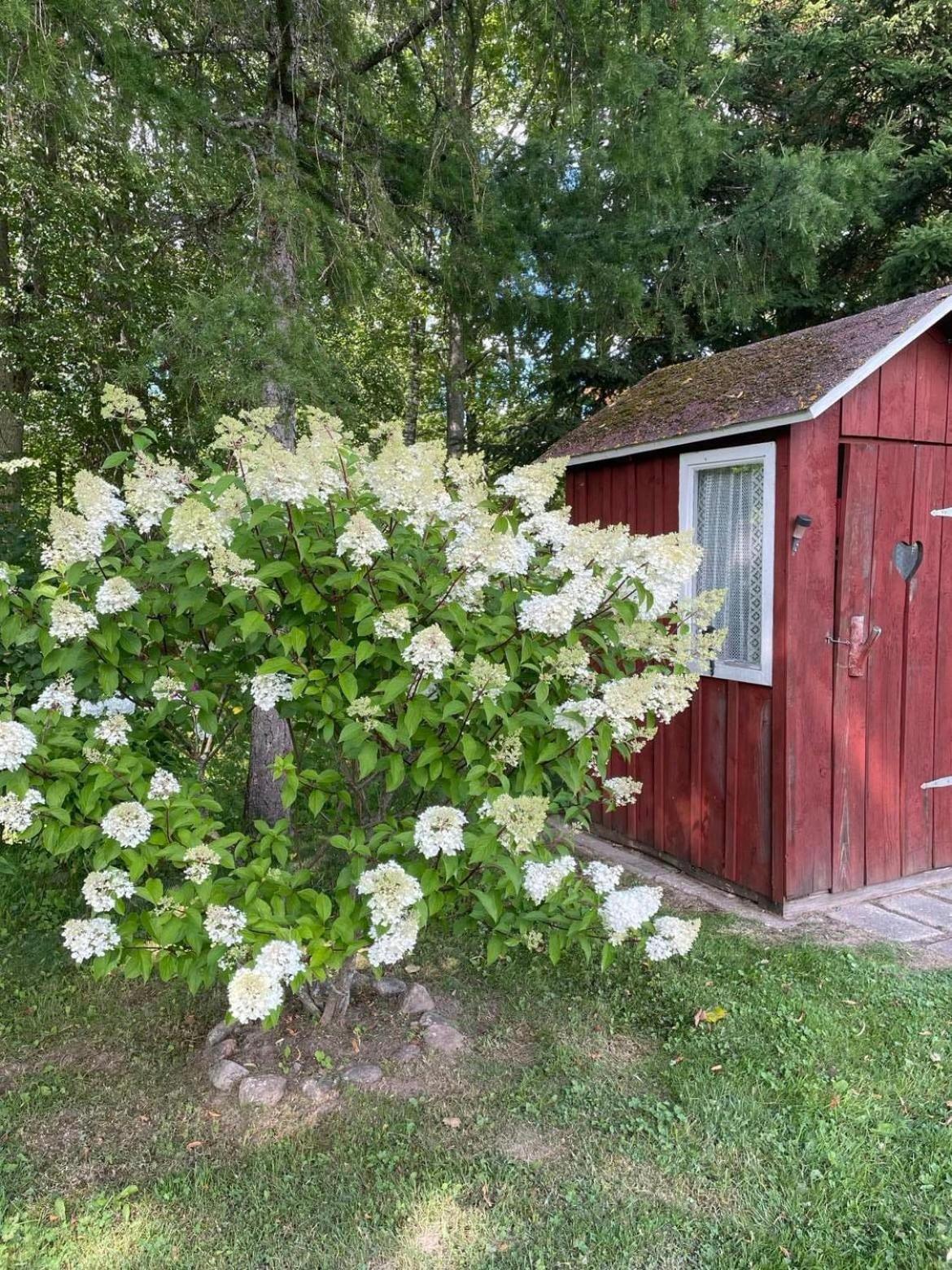 Jõeallika kämping