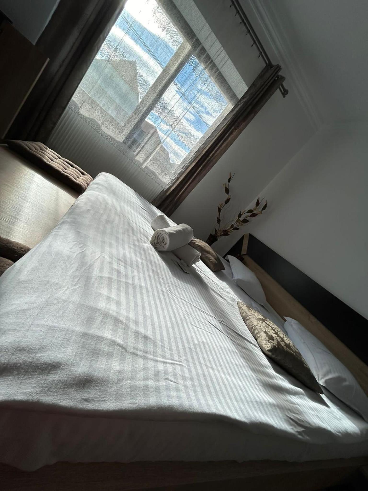 Vila Lion view 2