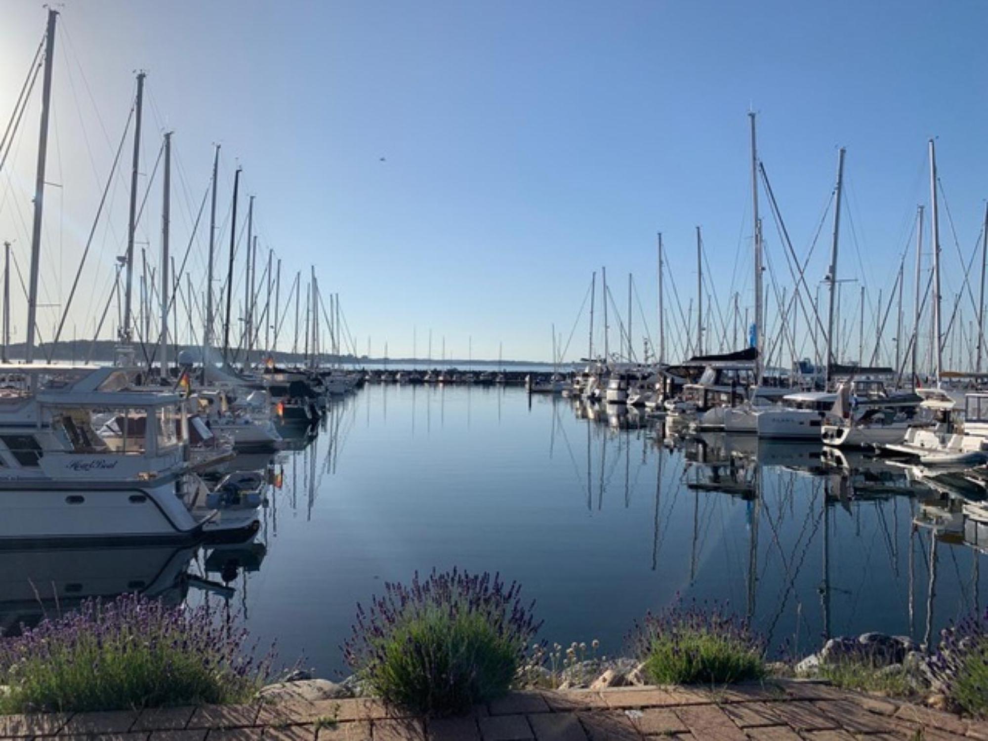Panorama 10