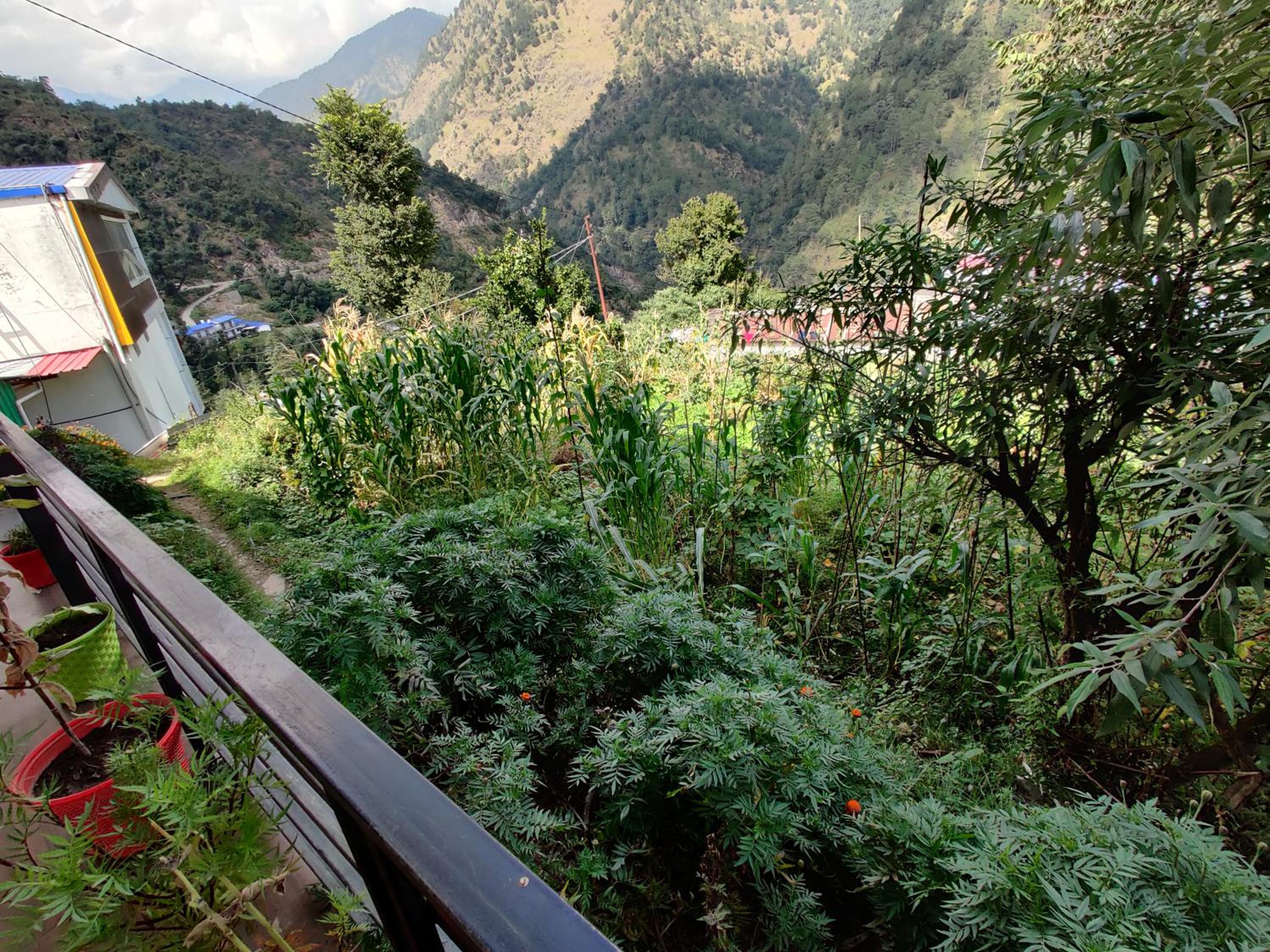 Himalayan Cottage Sersi view 2