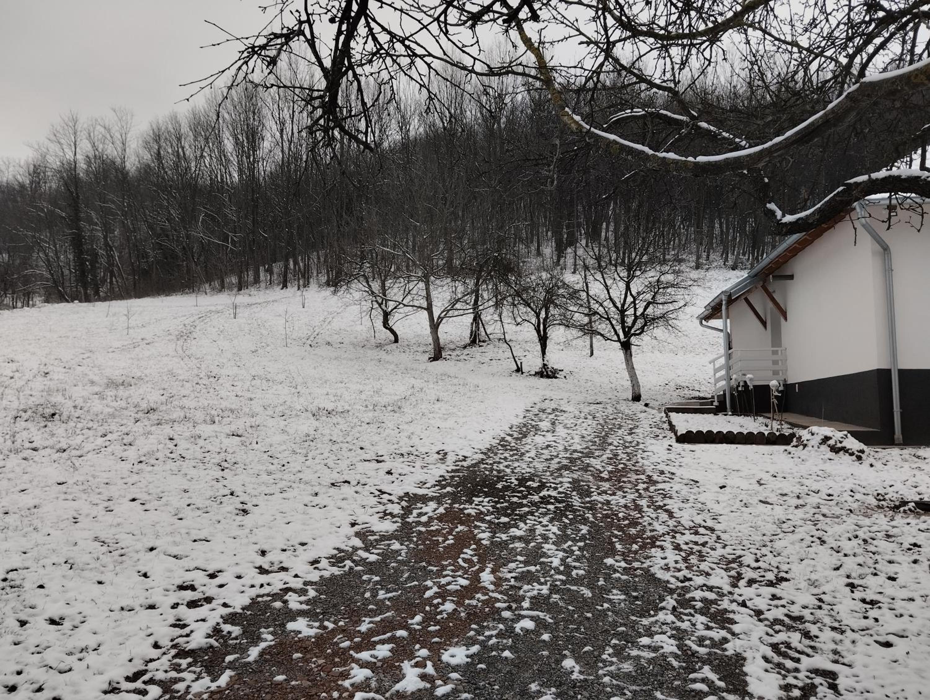 Vitovnicki Mir
