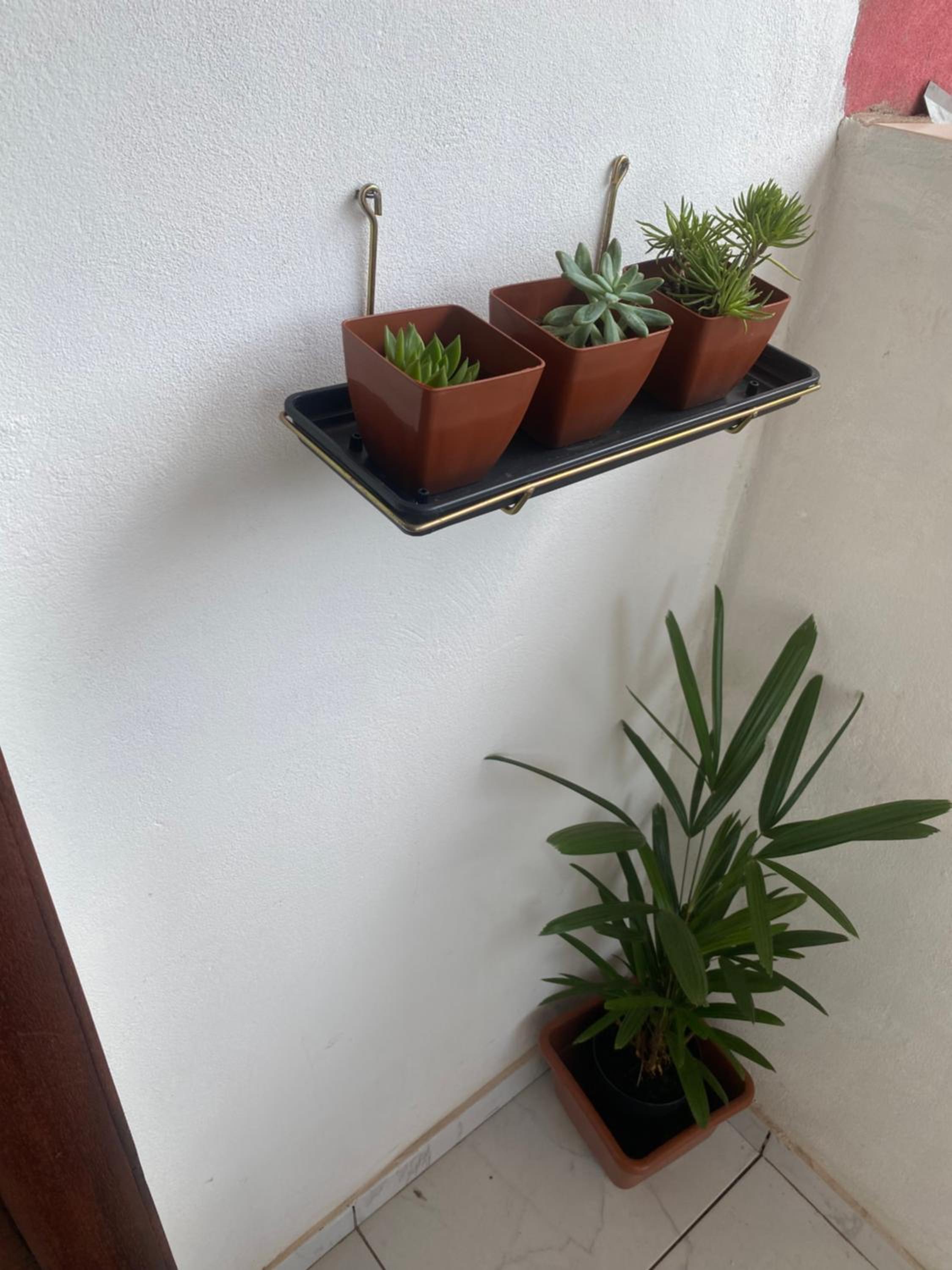 Apartamento Completo 2km do centro 301