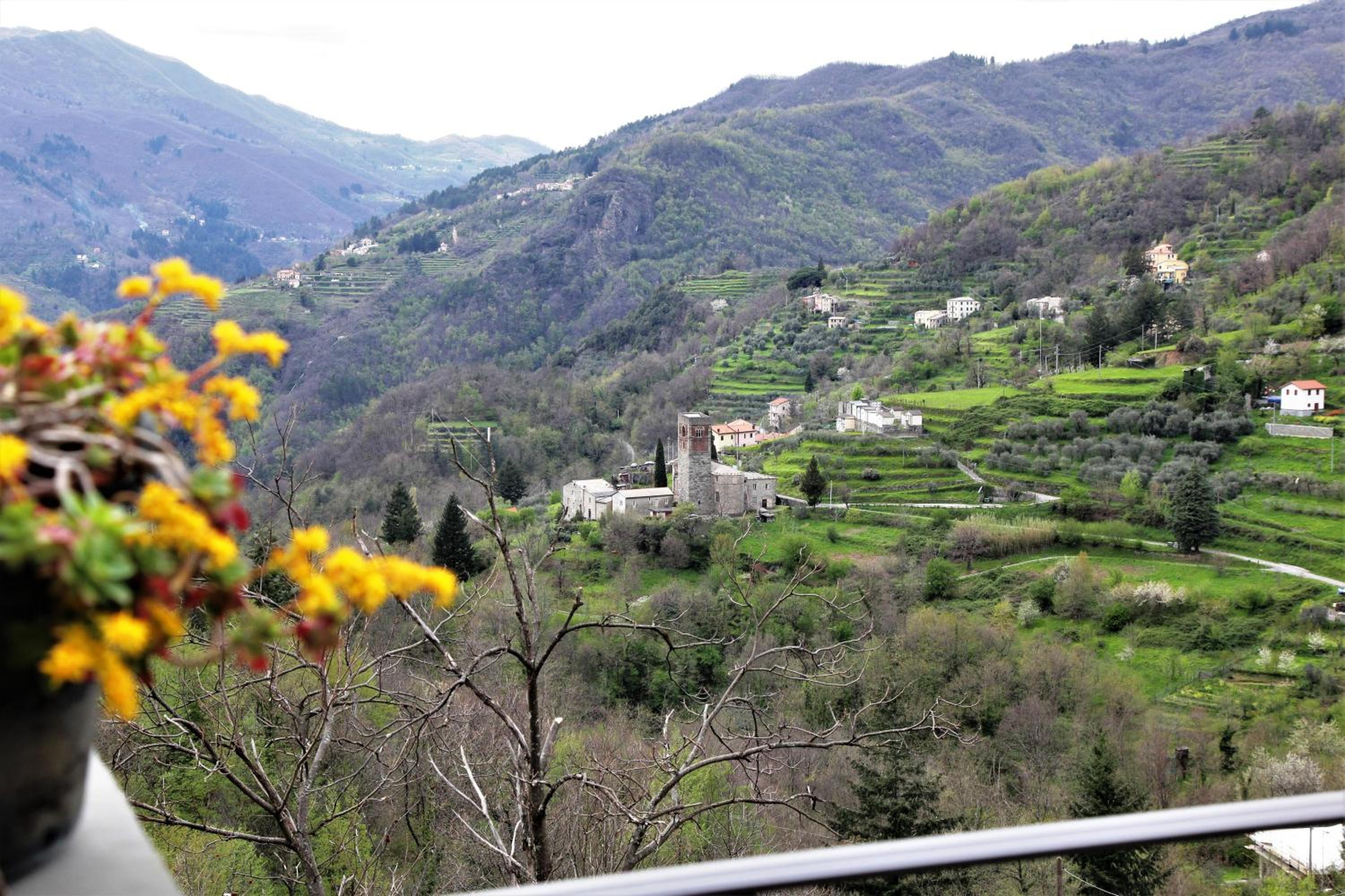 Photo 41