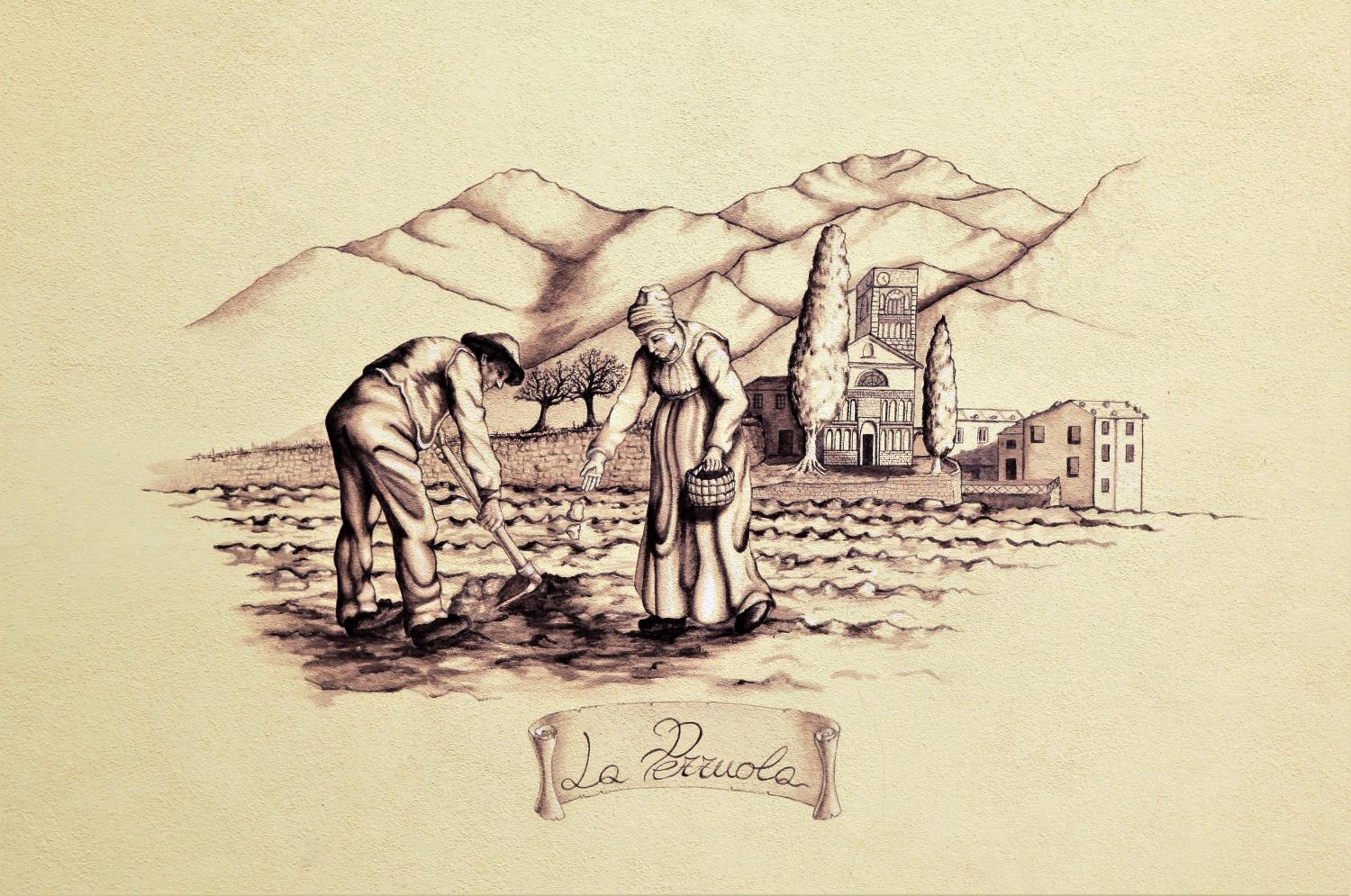 La Pezzuola 52 view 4