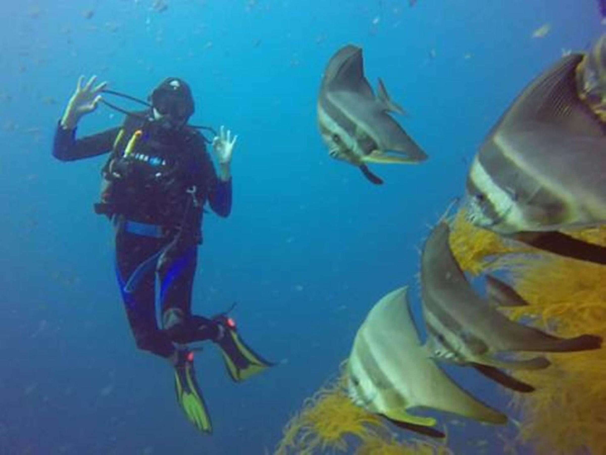 Chindonan Dive and Beach Resort