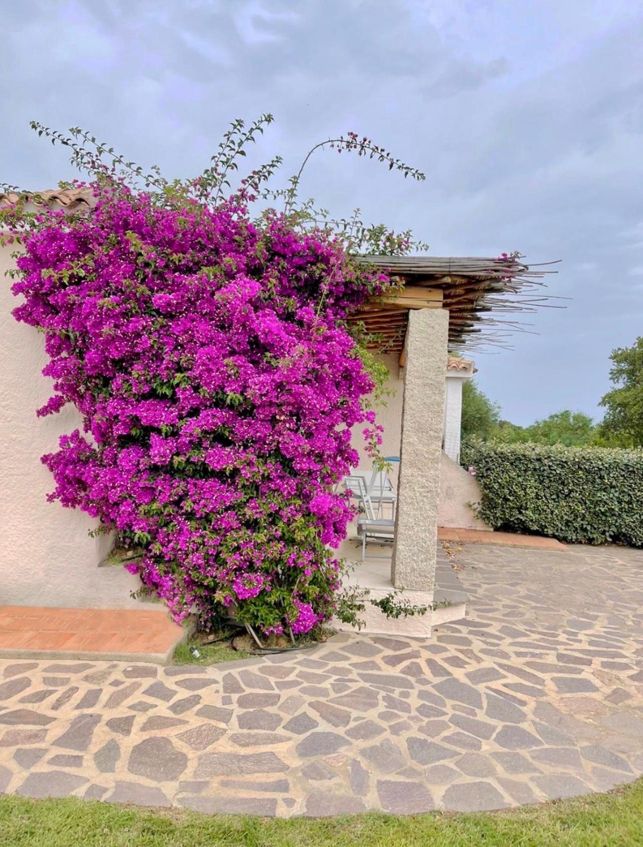 Residence Capraggia