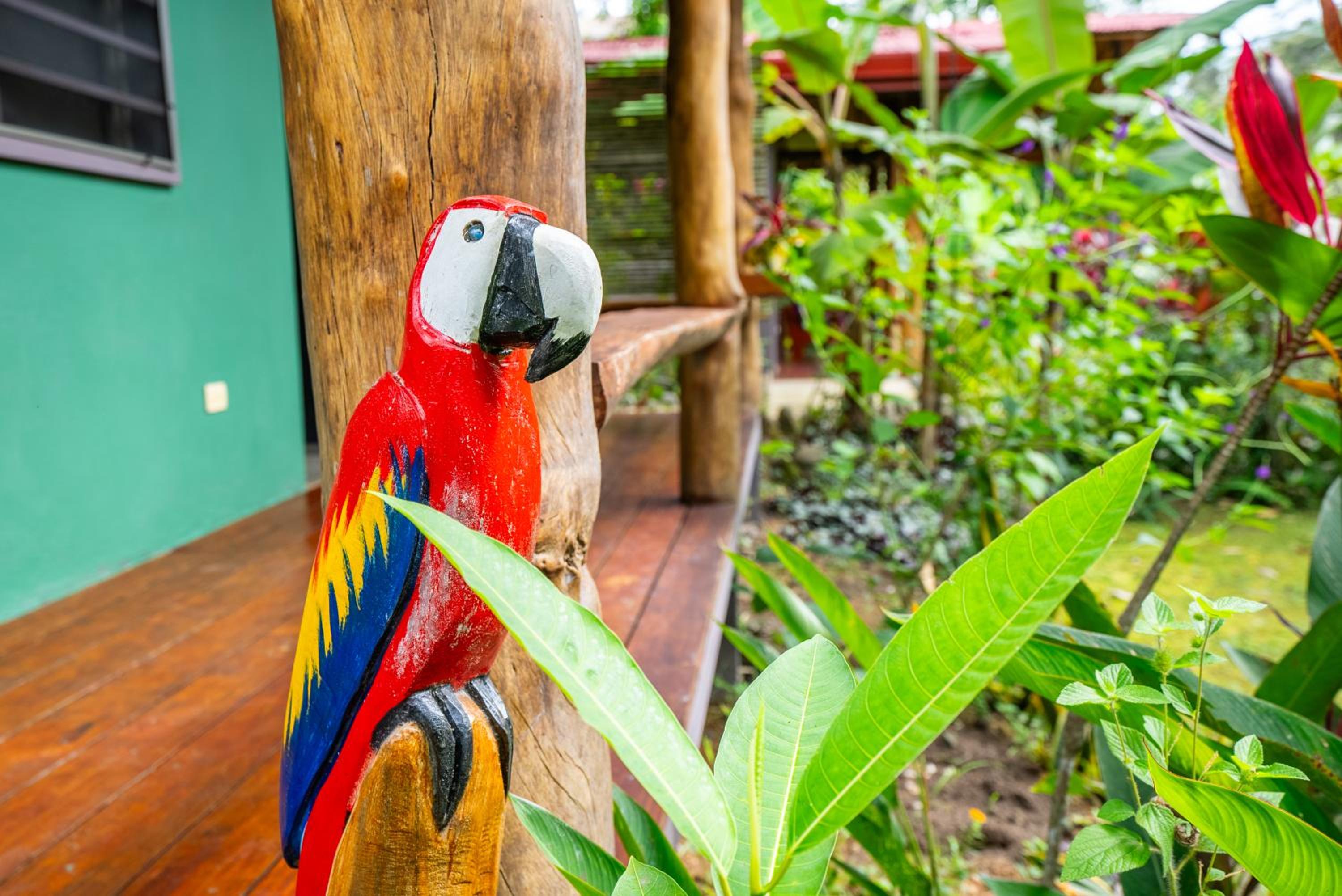 Macaw Villa - Riverfront With A Pool