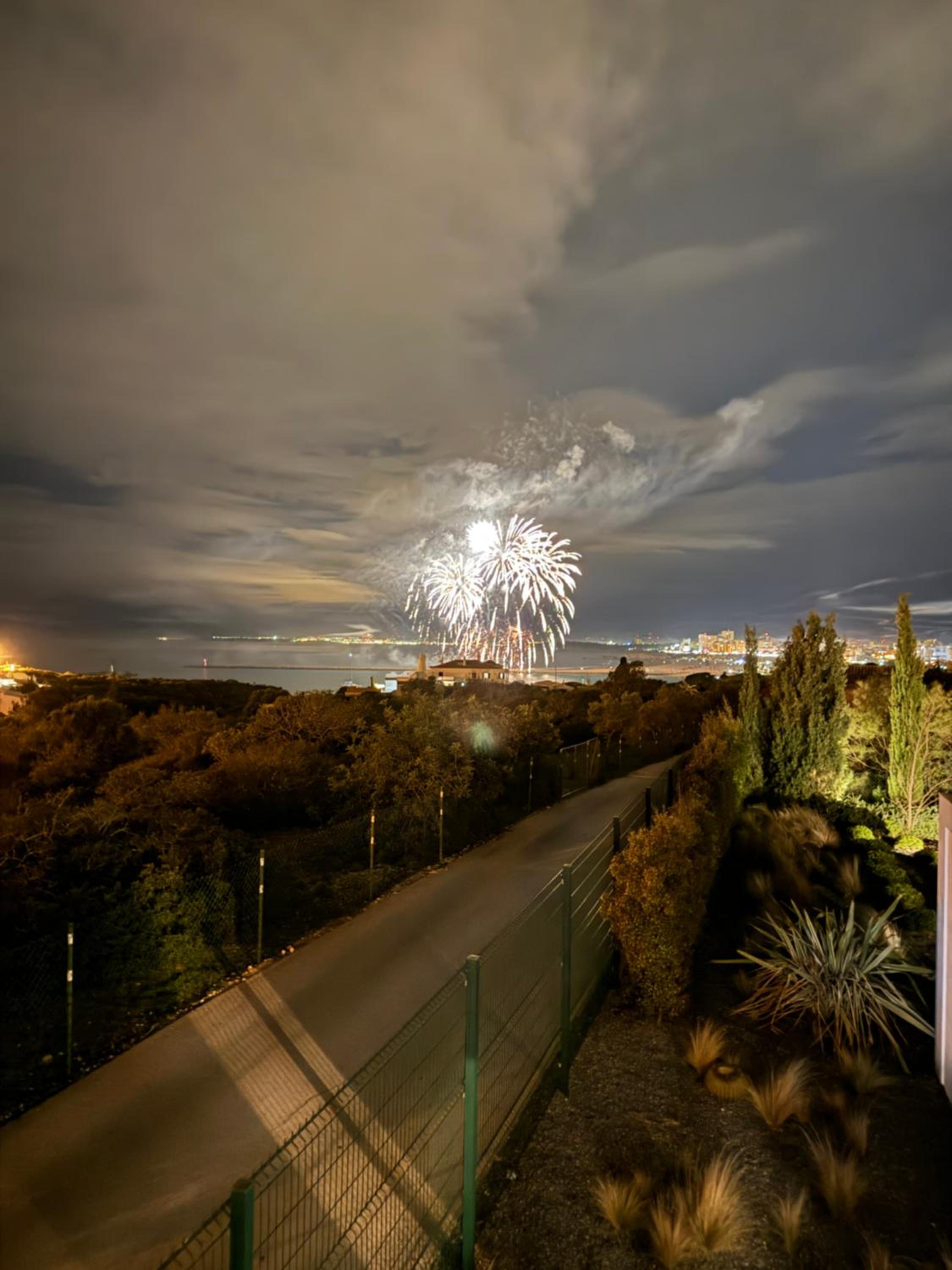 Photo 44