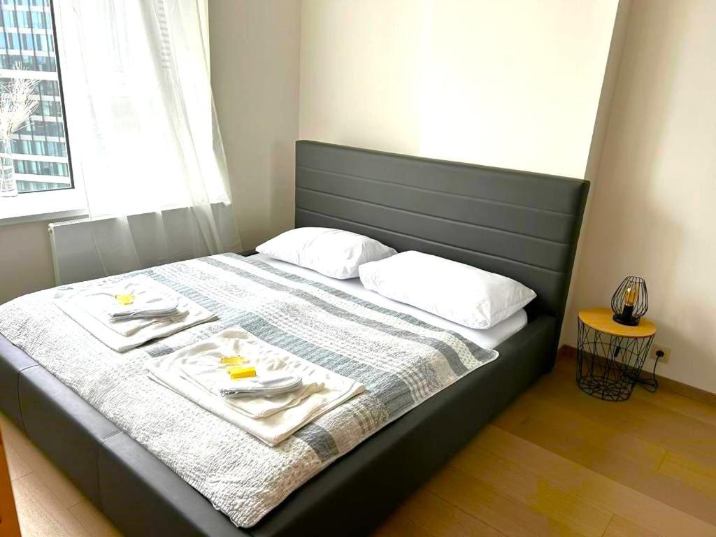 SKAU Panorama Family & Business Apartment City View Free Parking