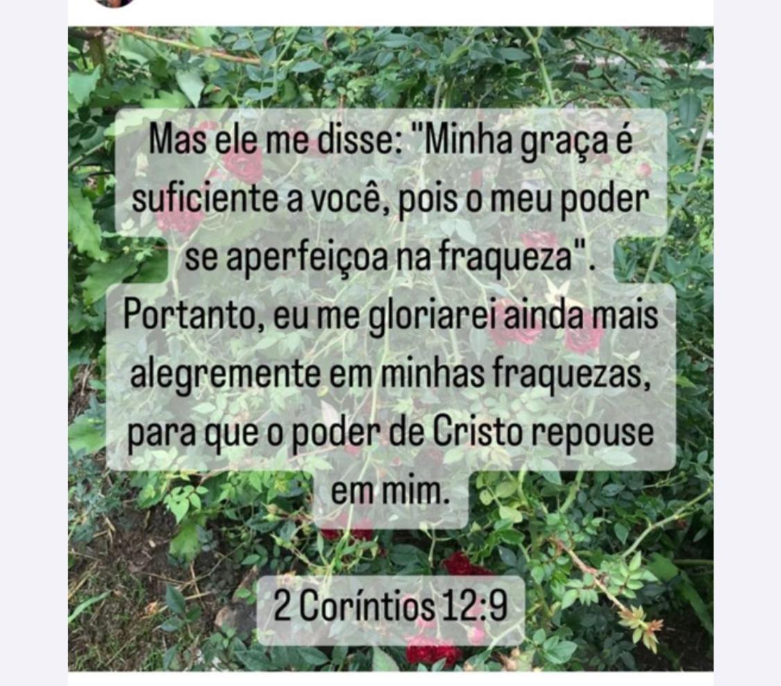 Photo 62