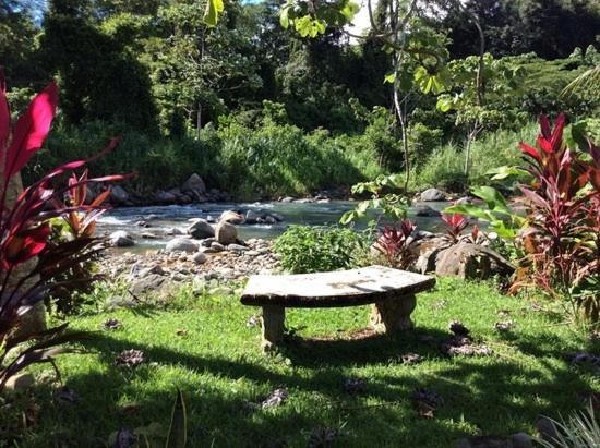 Macaw Villa - Riverfront With A Pool