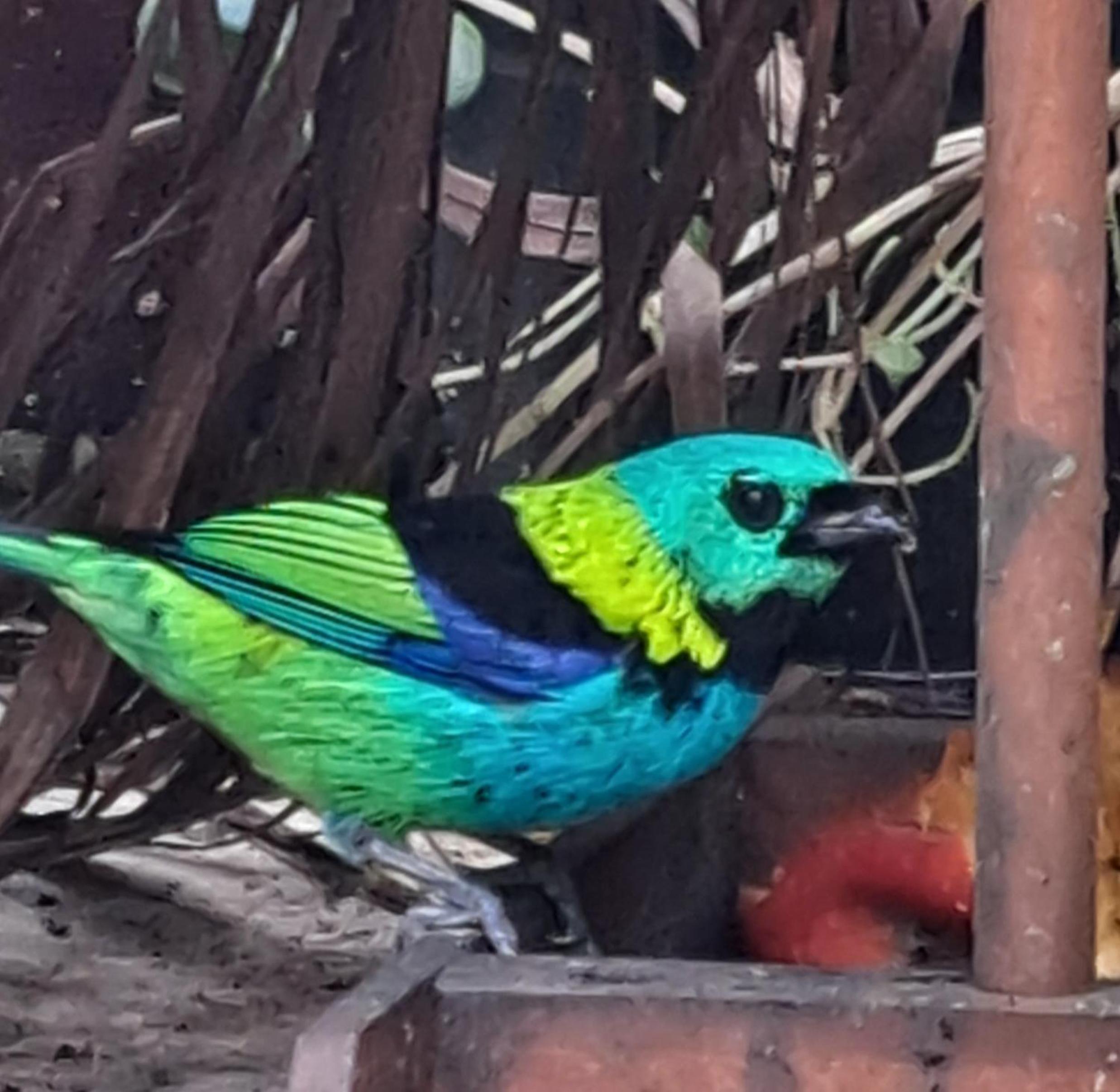 Pousada Trilha da Serra