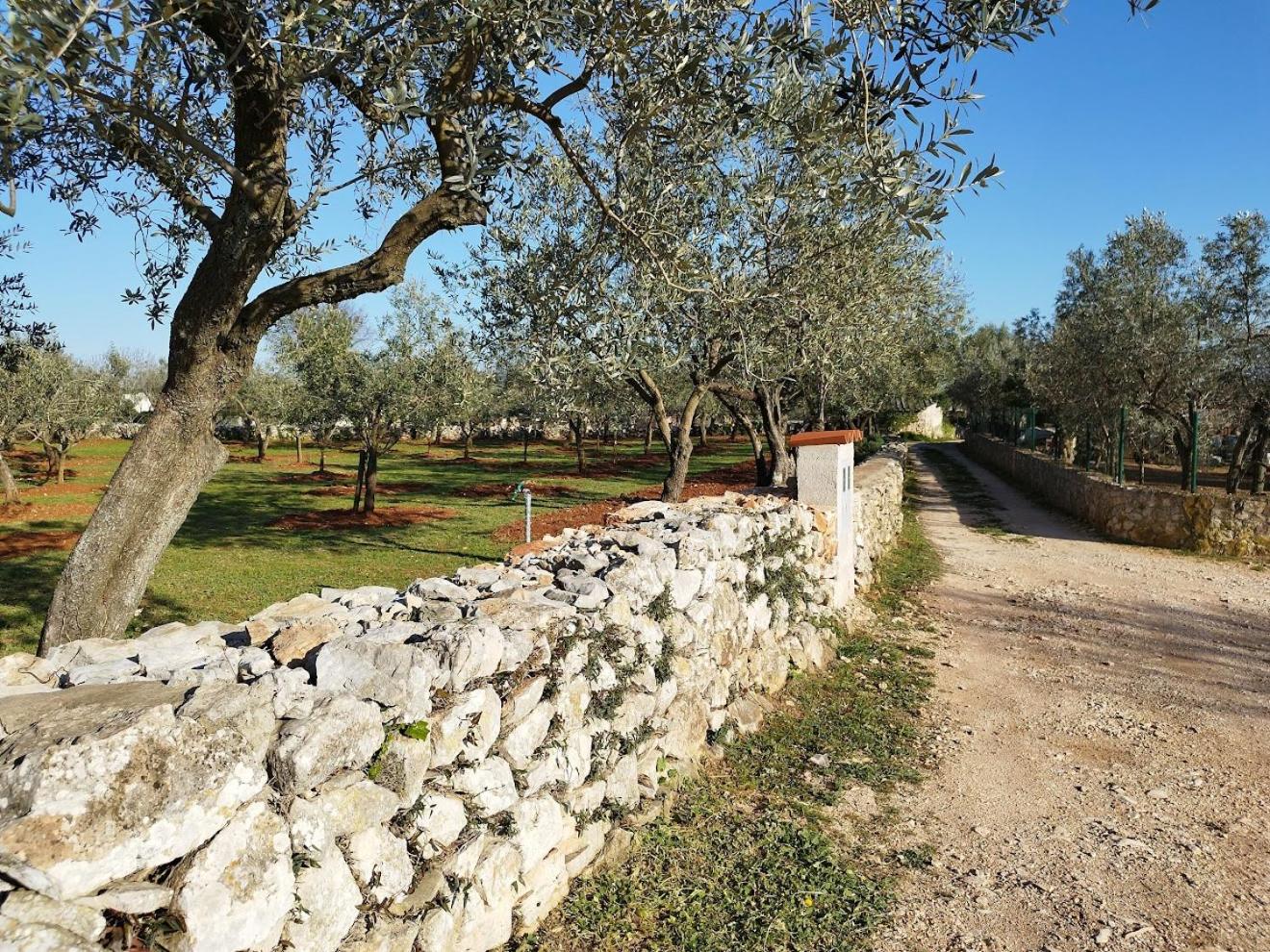 Villa Elizej view 5