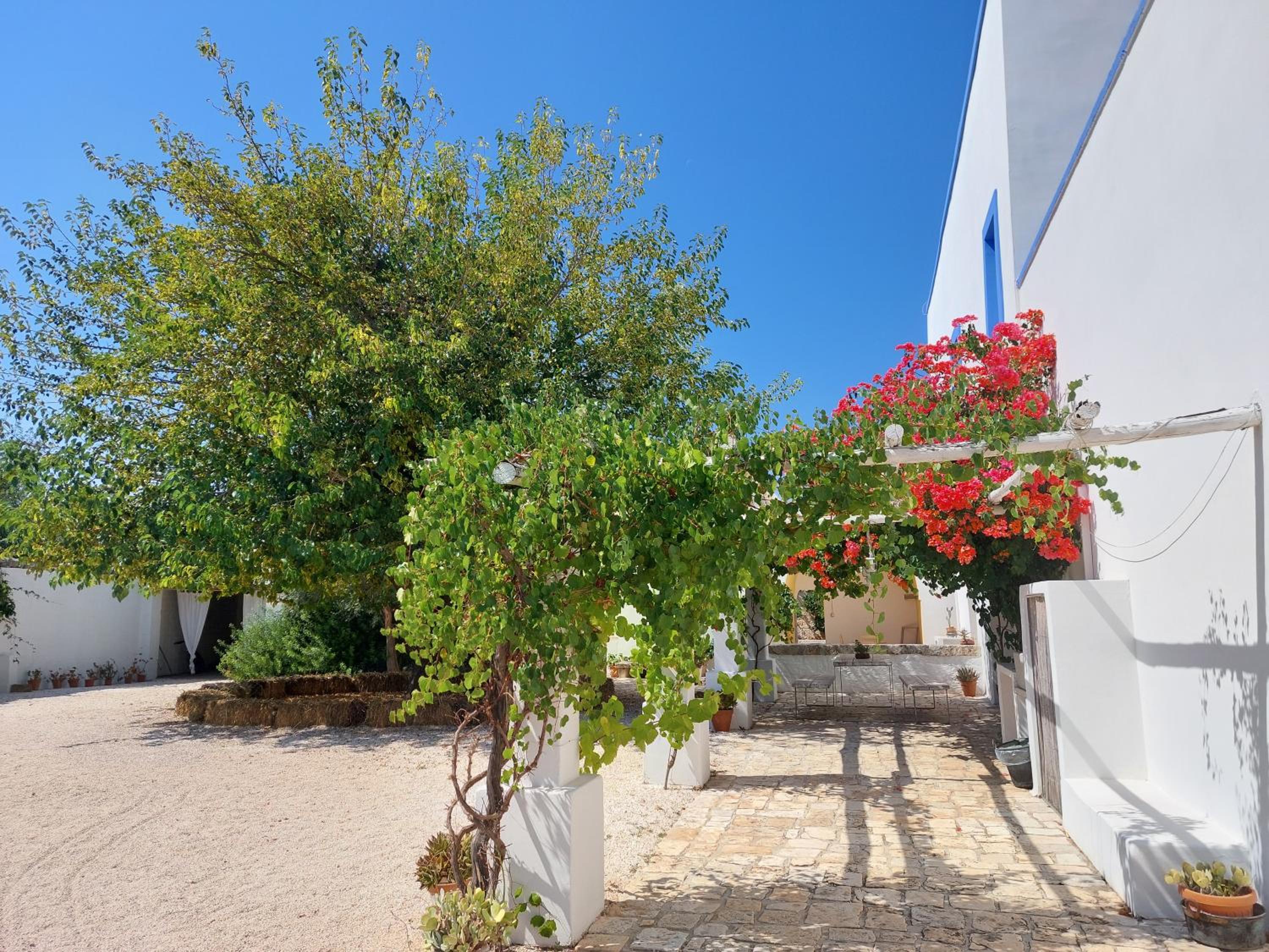 Masseria San Martino view 3