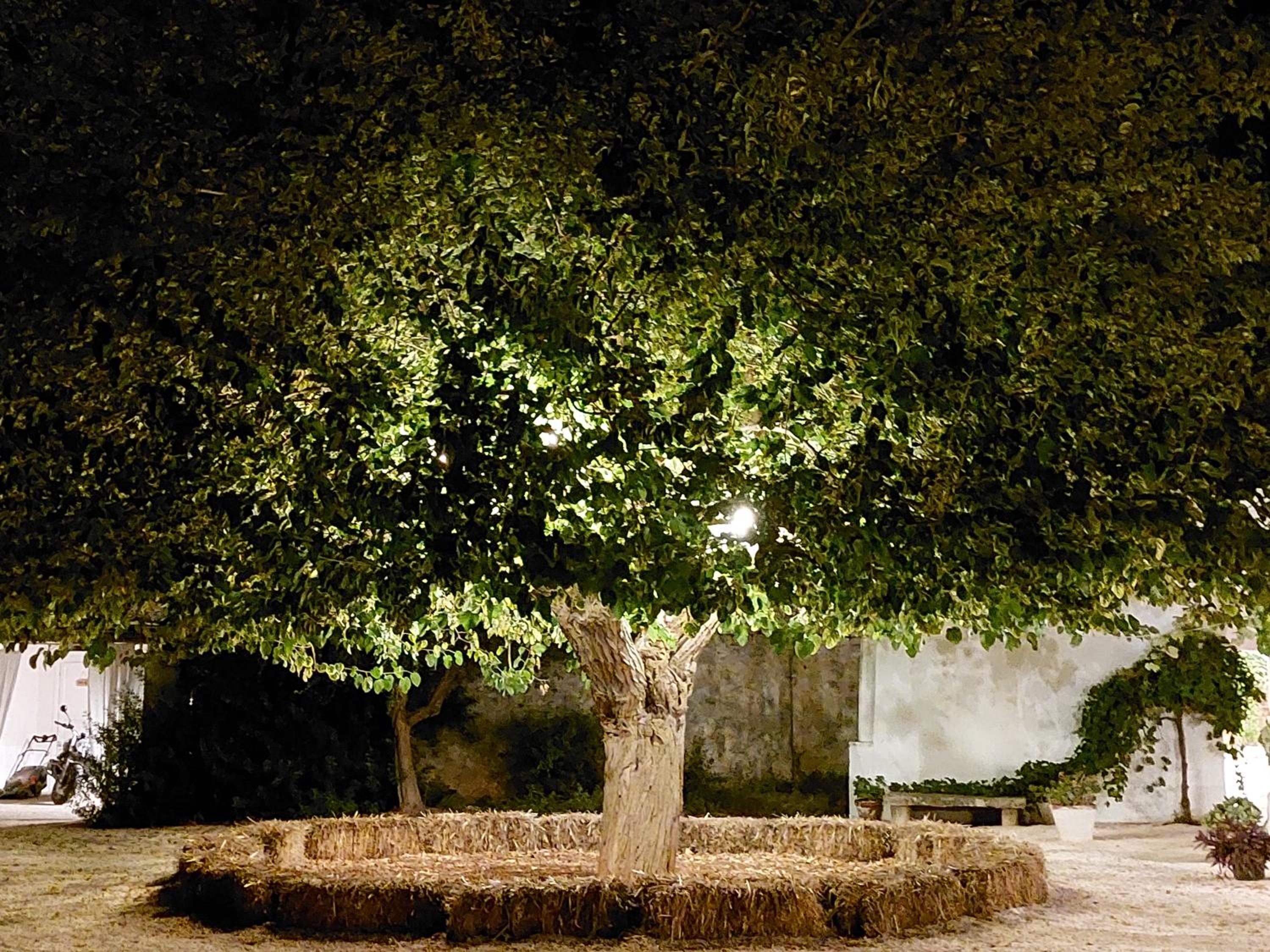 Masseria San Martino view 2