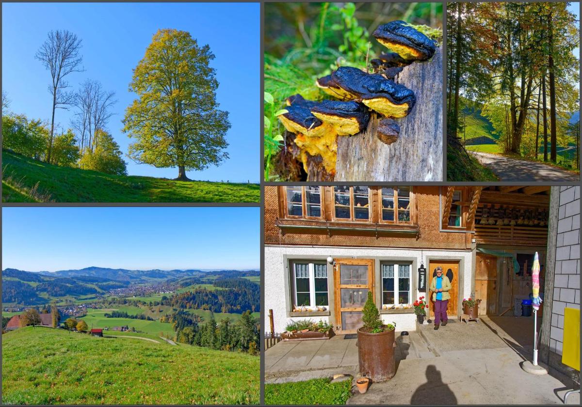 Emmental Ferien