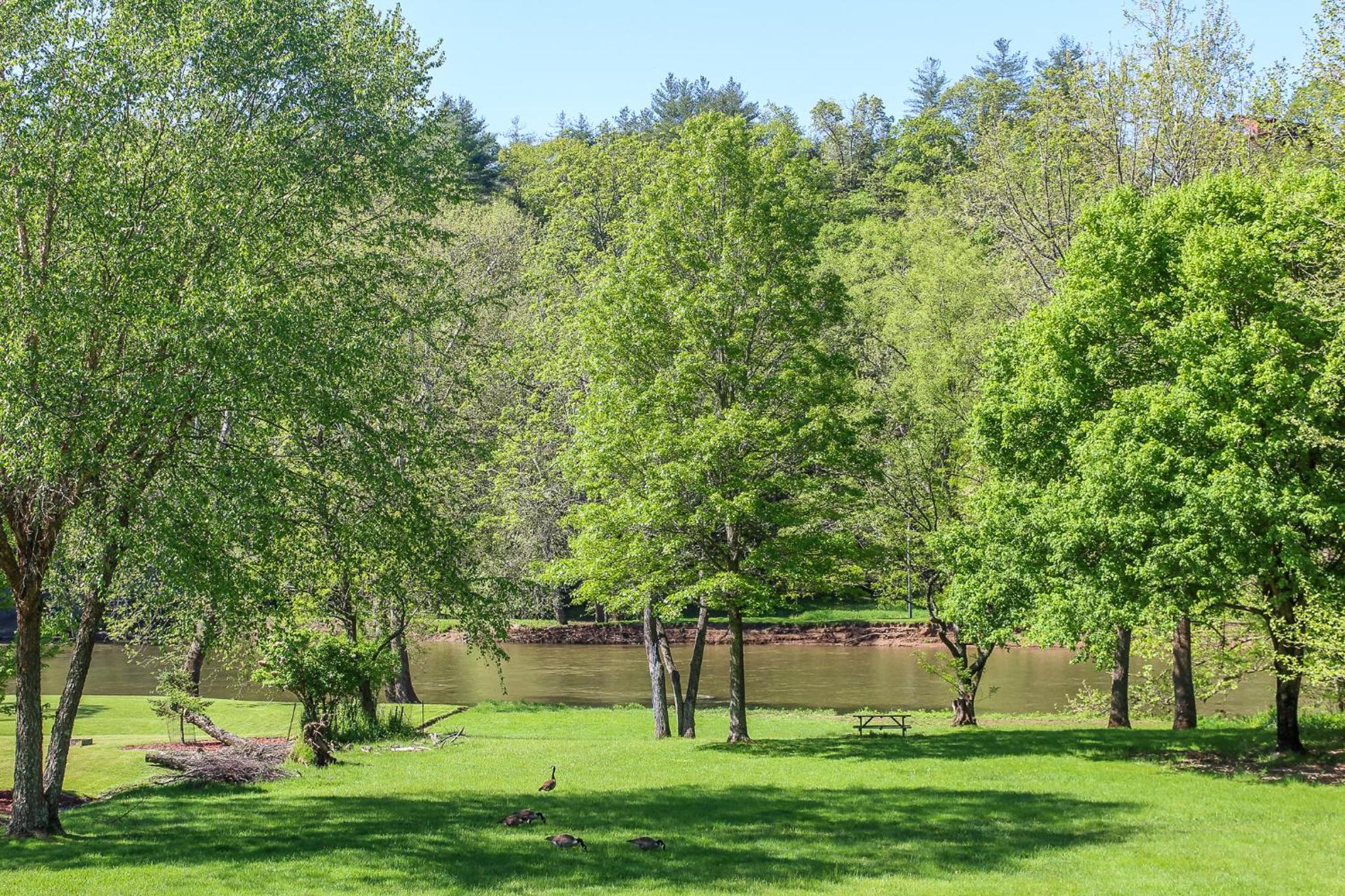 Riverside Escape
