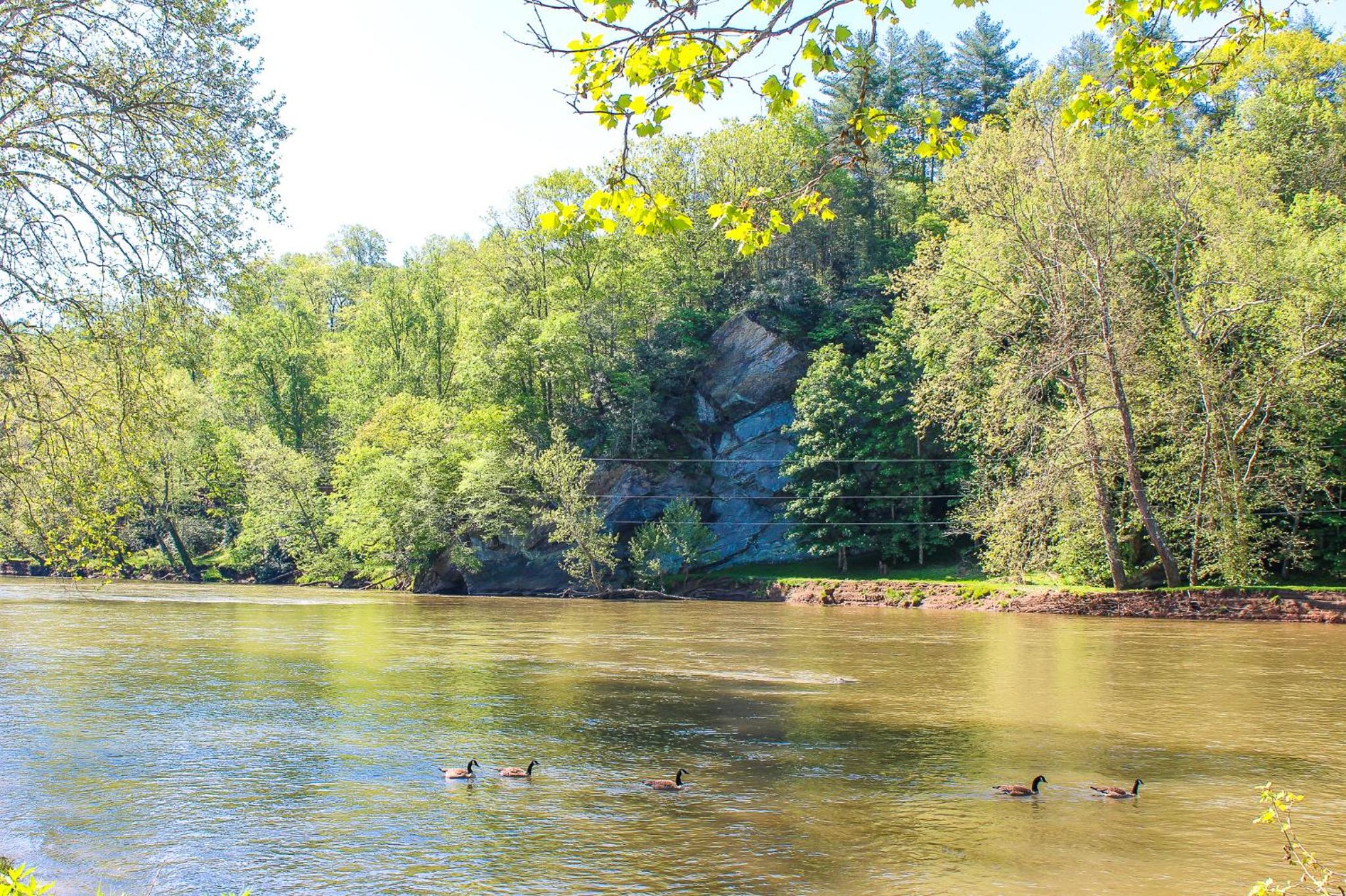 Riverside Escape