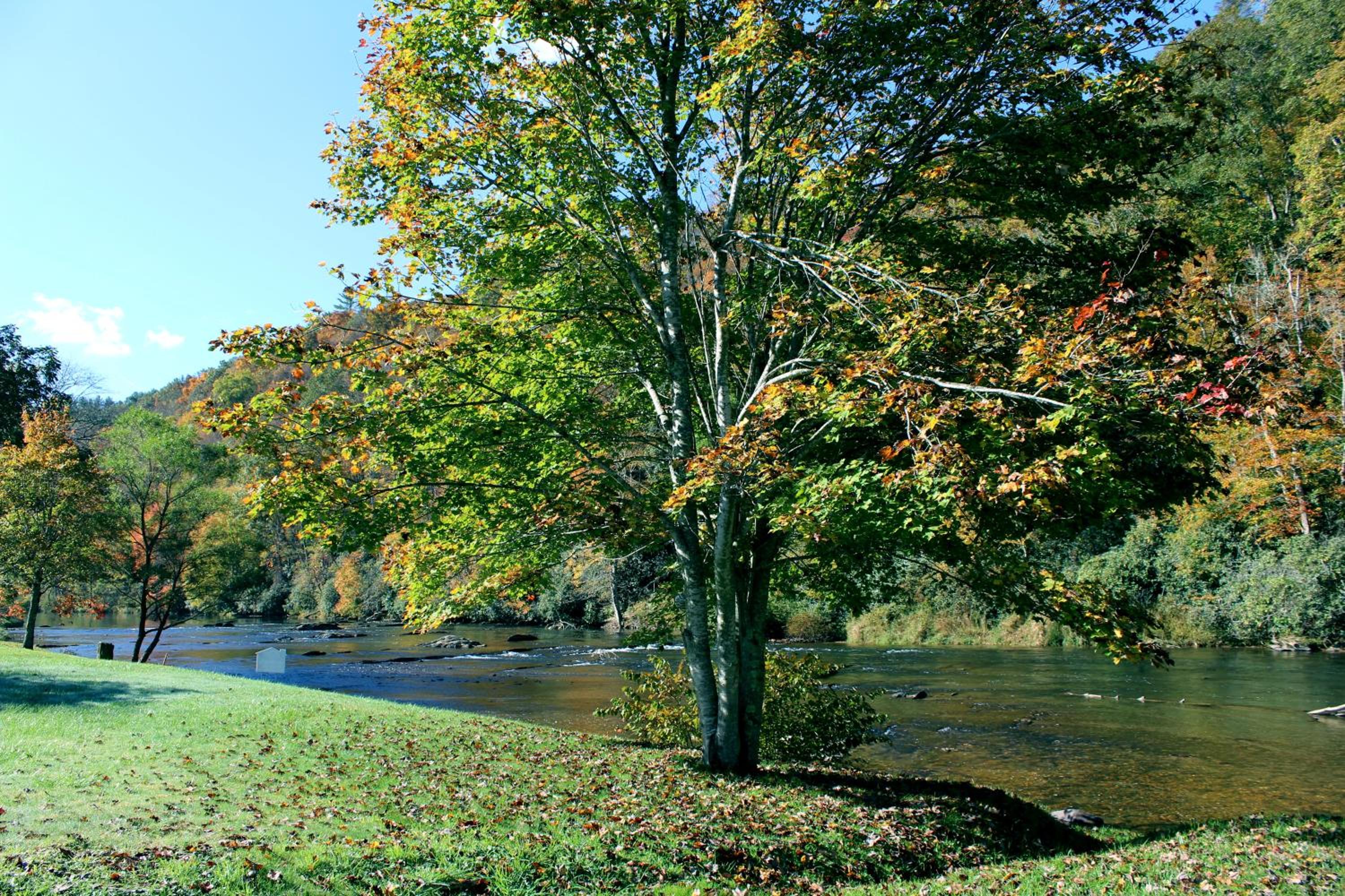 Photo 40
