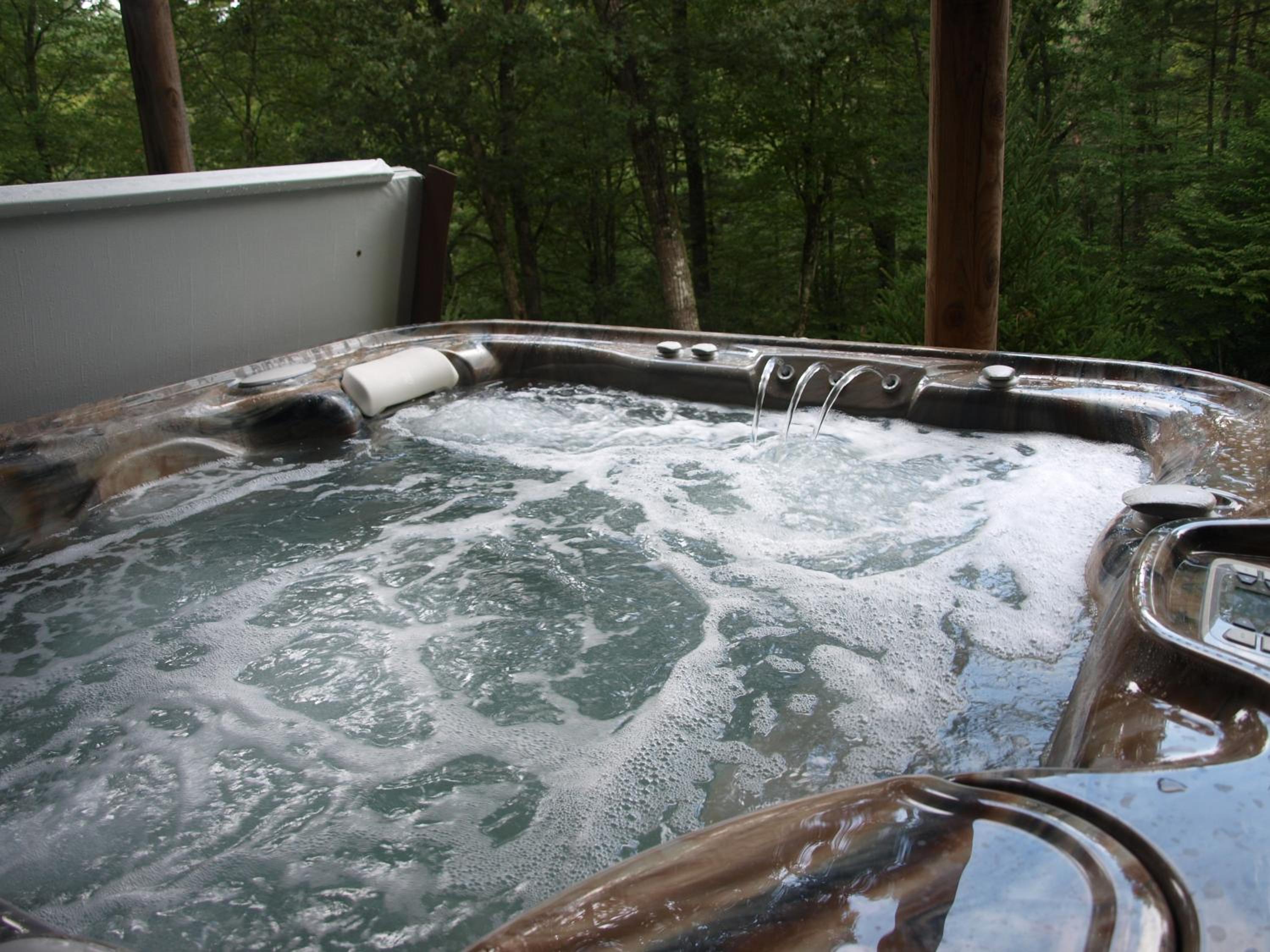 Pine Log Lodge view 2