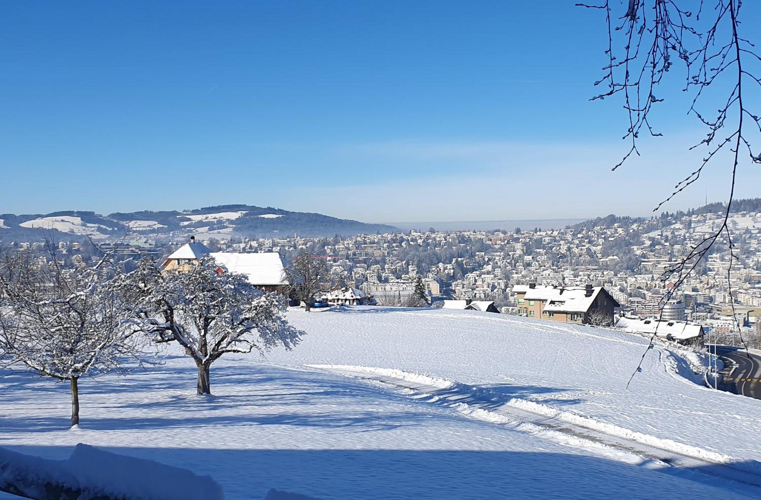 2-4 Zimmer Apartments Stilvoll im Gertrud Schlössli - zentral ruhig