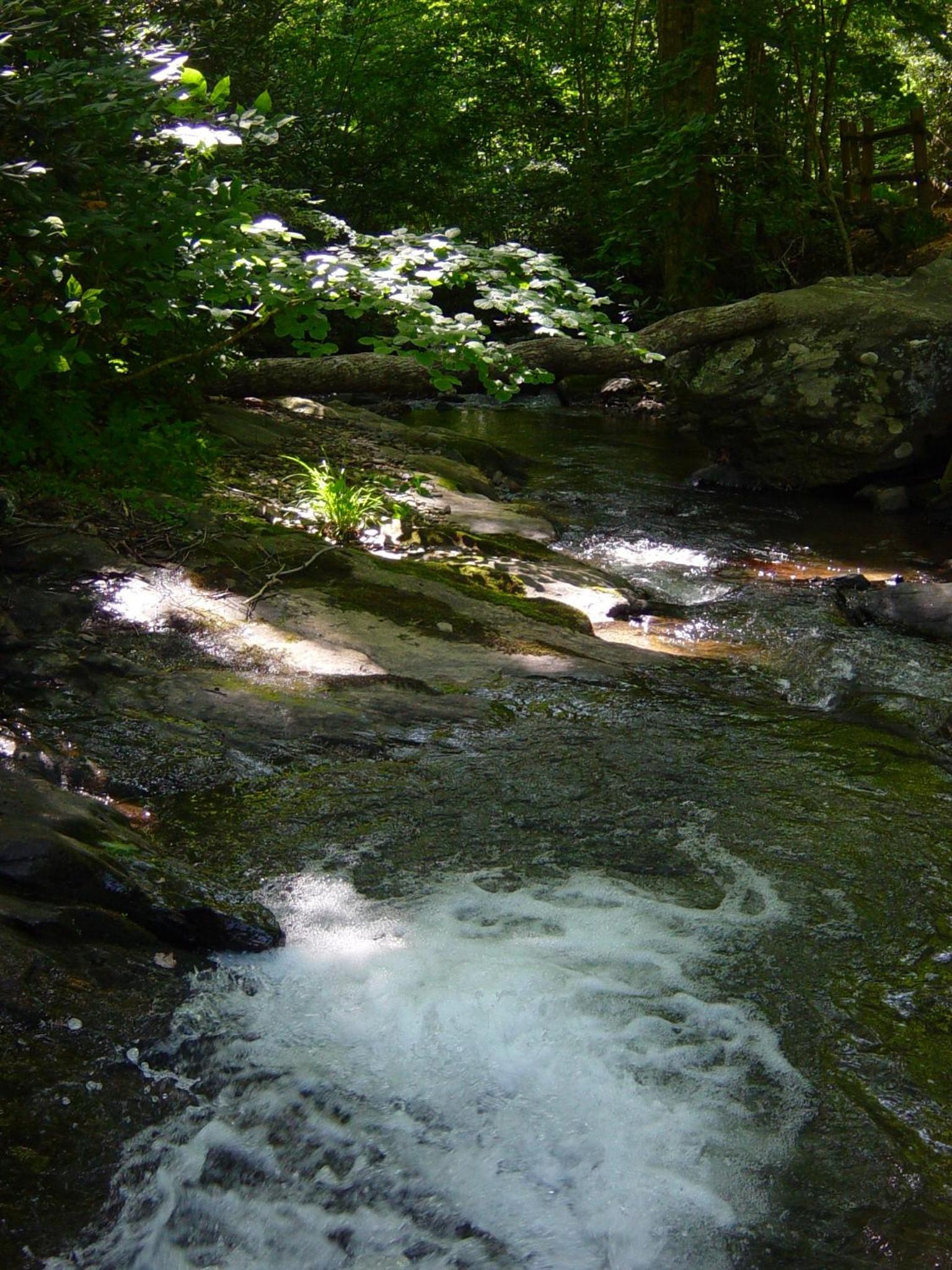 Photo 32