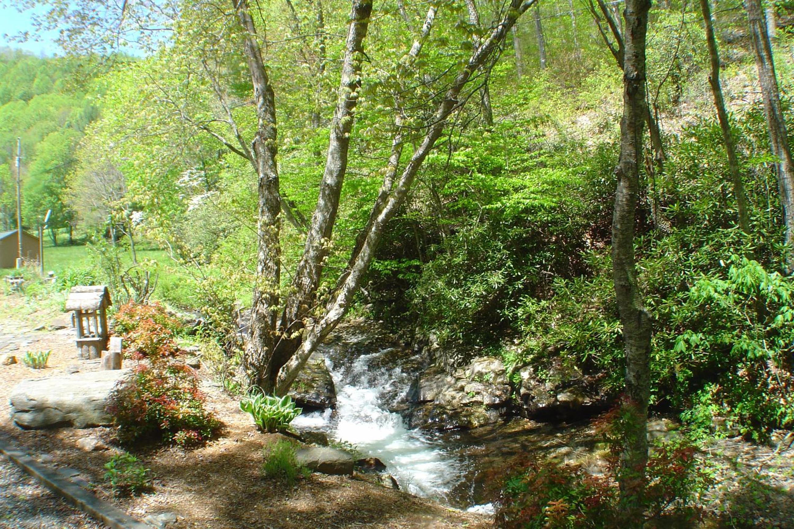 Photo 36