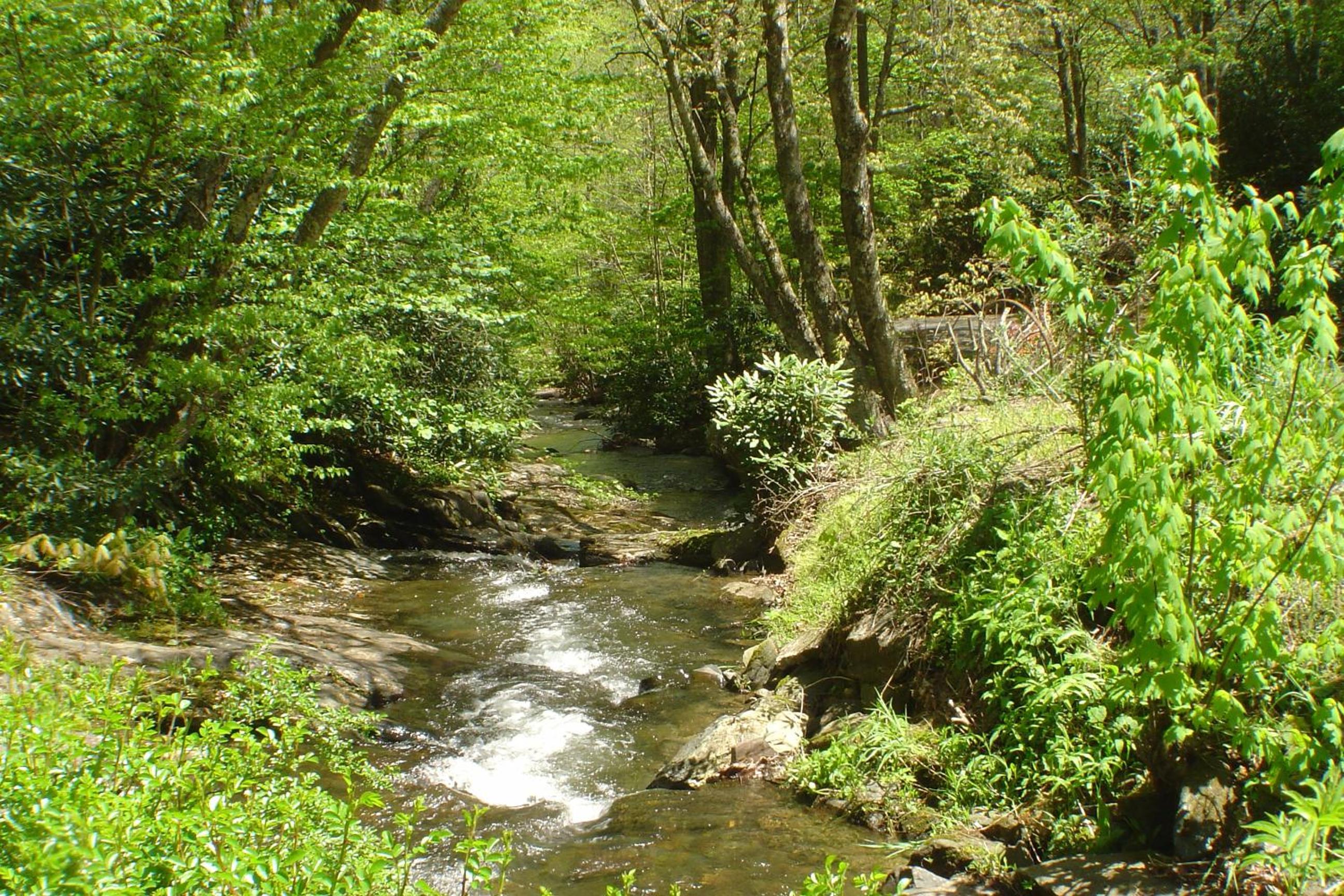 Photo 41