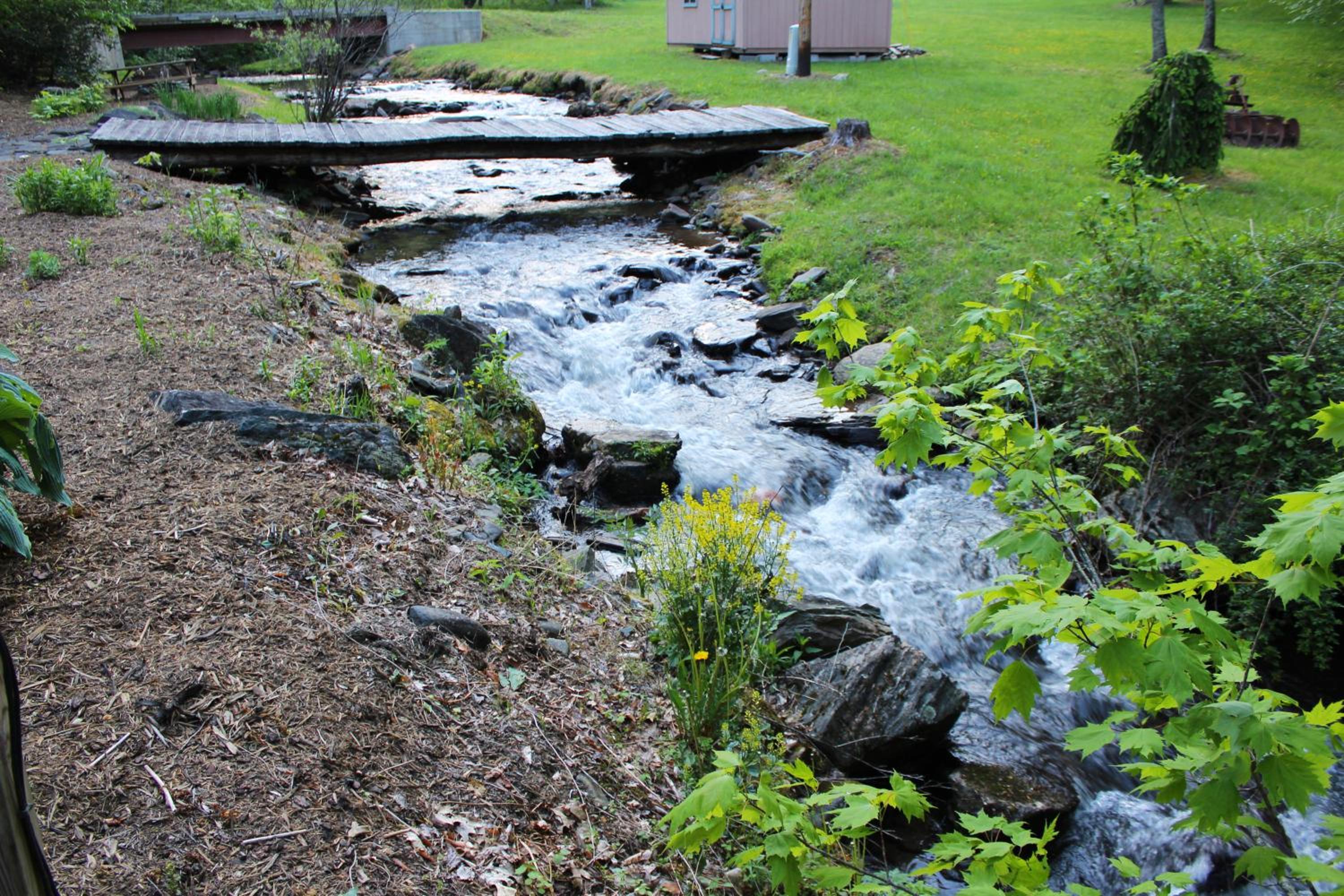 Photo 48