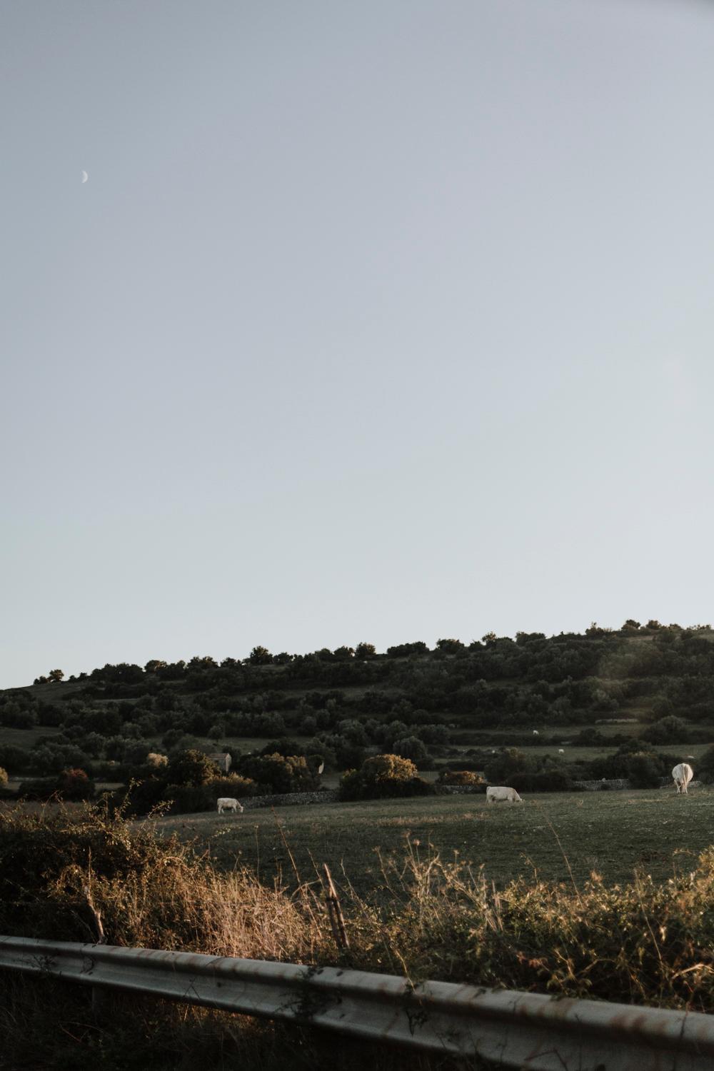 Bibbia- Tenuta di Campagna