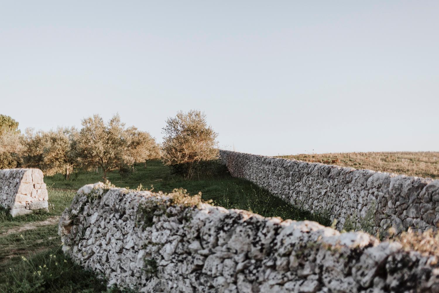 Bibbia- Tenuta di Campagna