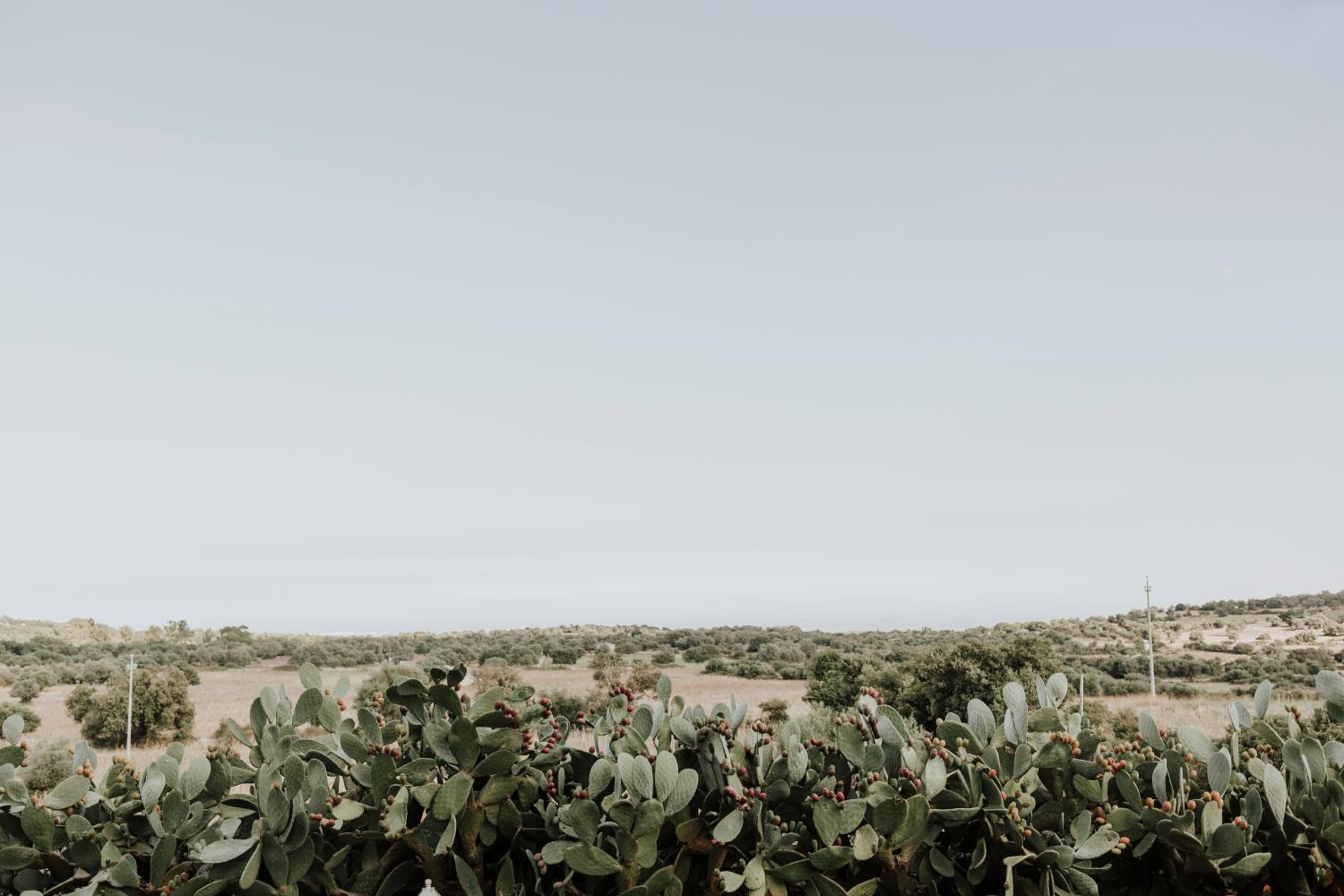 Bibbia- Tenuta di Campagna