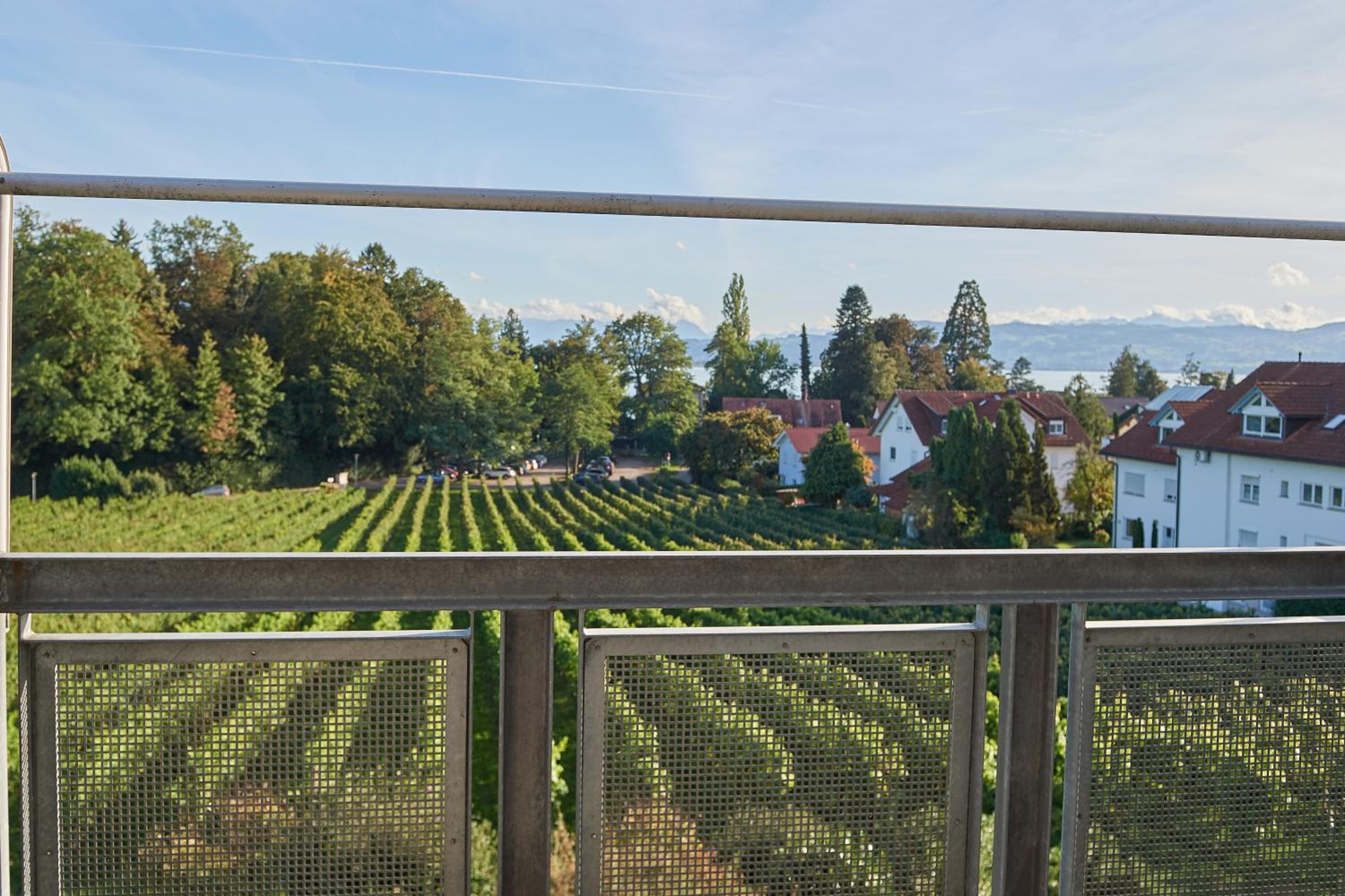 Ferienwohnungen Weingut Deufel view 5