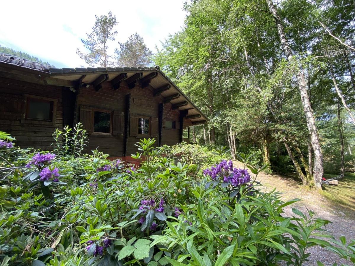LE FISHING LODGE Chalet en bois