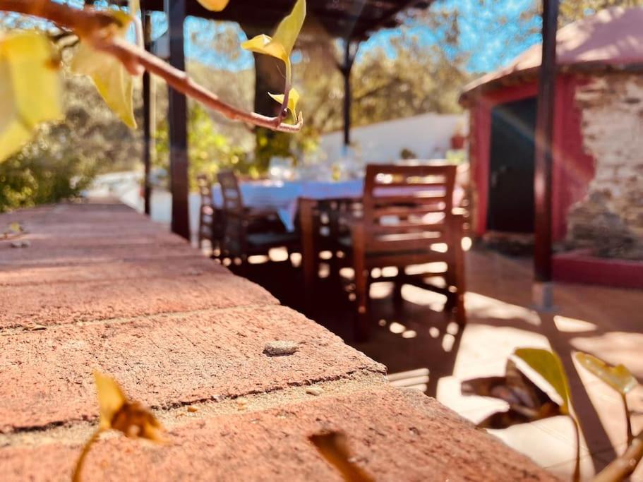 Casa Coronado Vivienda Rural