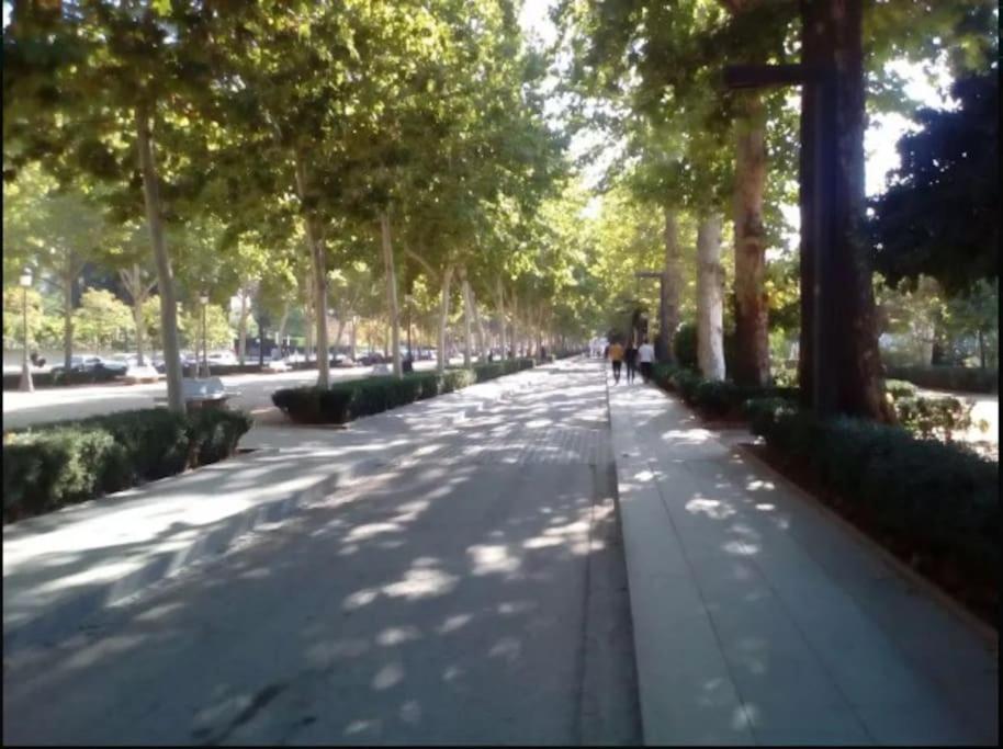 Hogar del Lirio