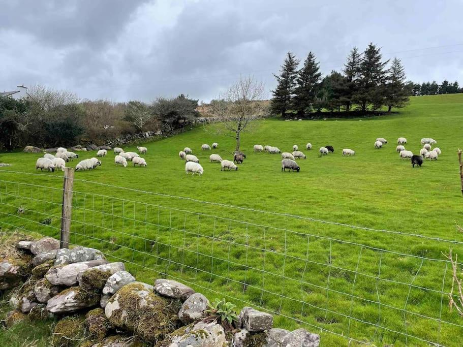 Padraig cottage