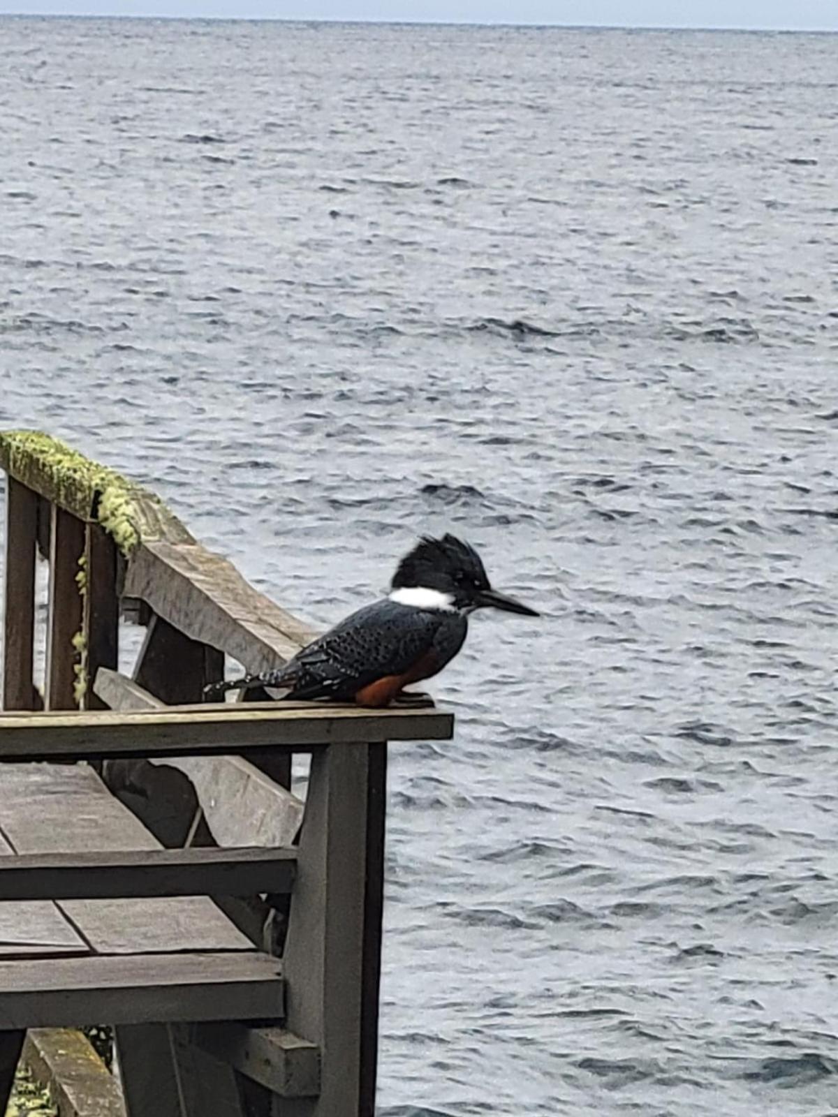 2 Cabañas y Quincho con Orilla a Lago Privado, Ensenada Camino Cascadas
