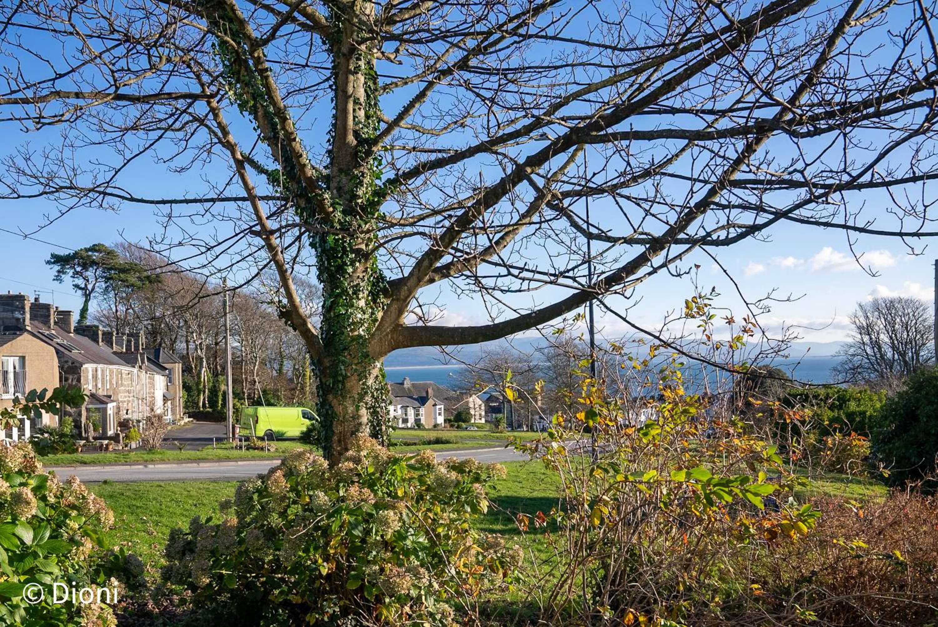 Arfryn