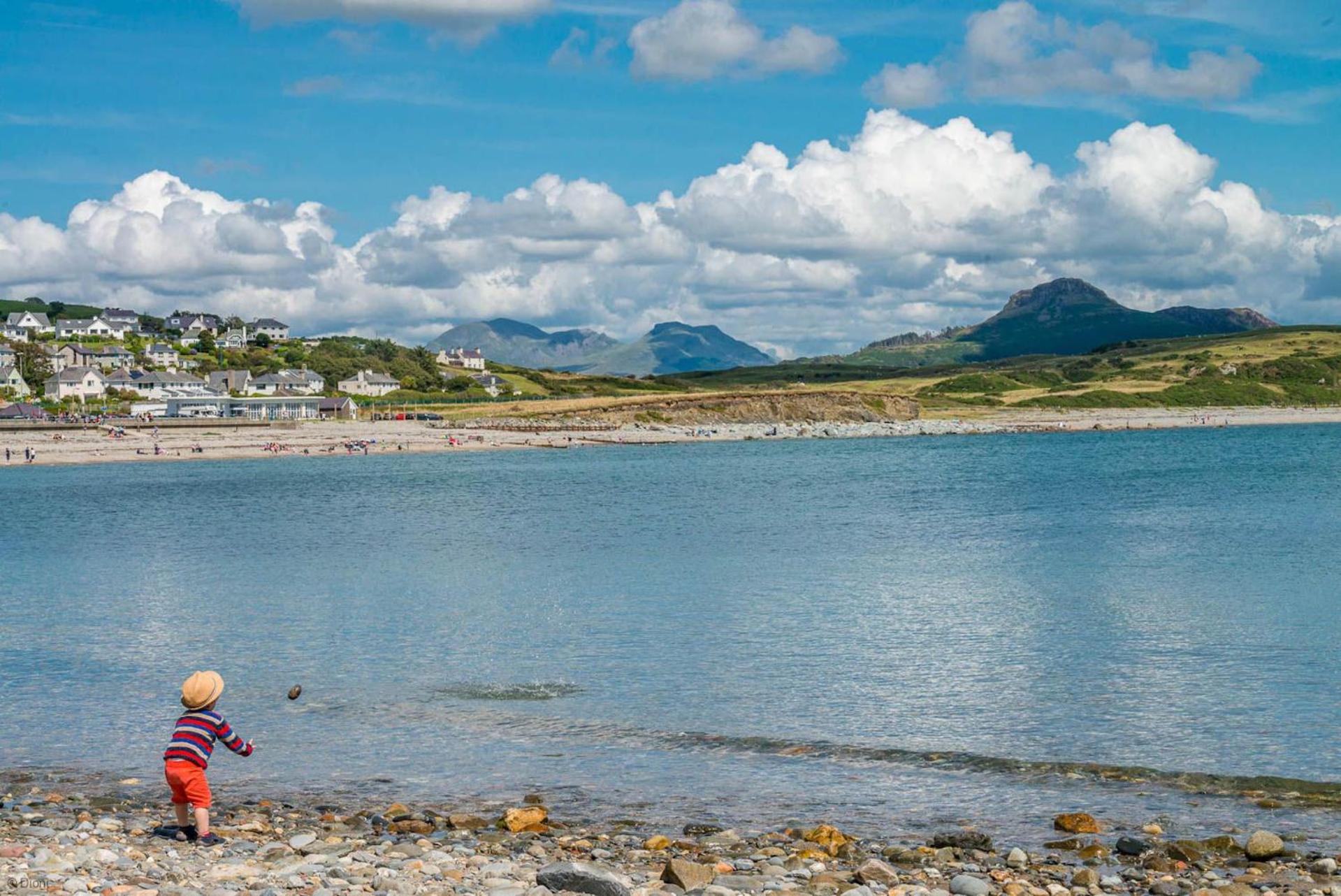 Arfryn
