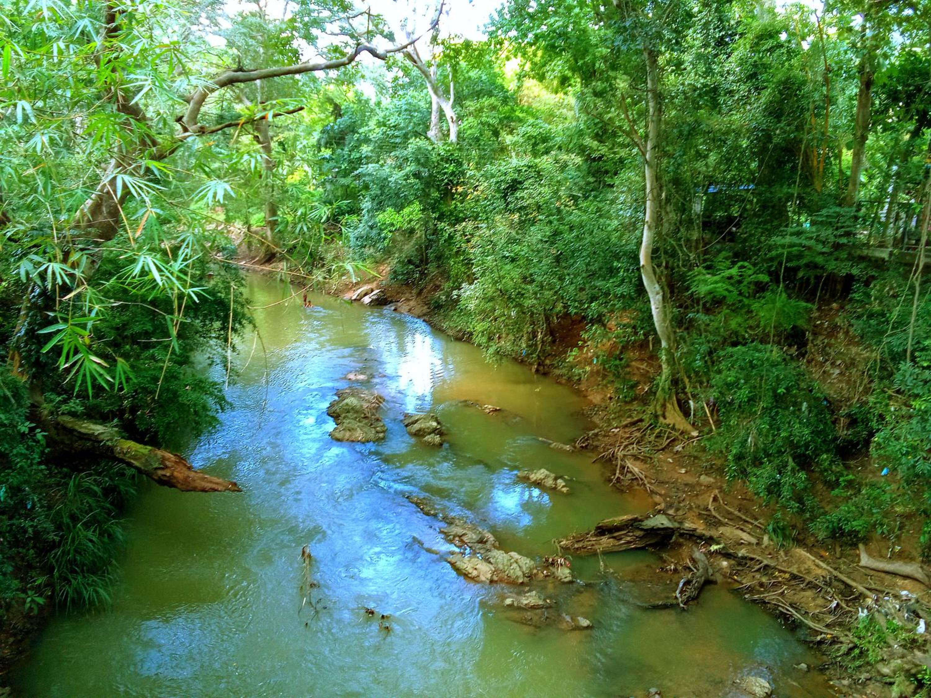 Photo 40