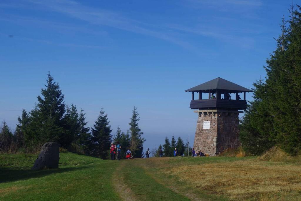 Natur pur im Nationalpark Schwarzwald