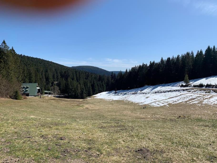 Natur pur im Nationalpark Schwarzwald