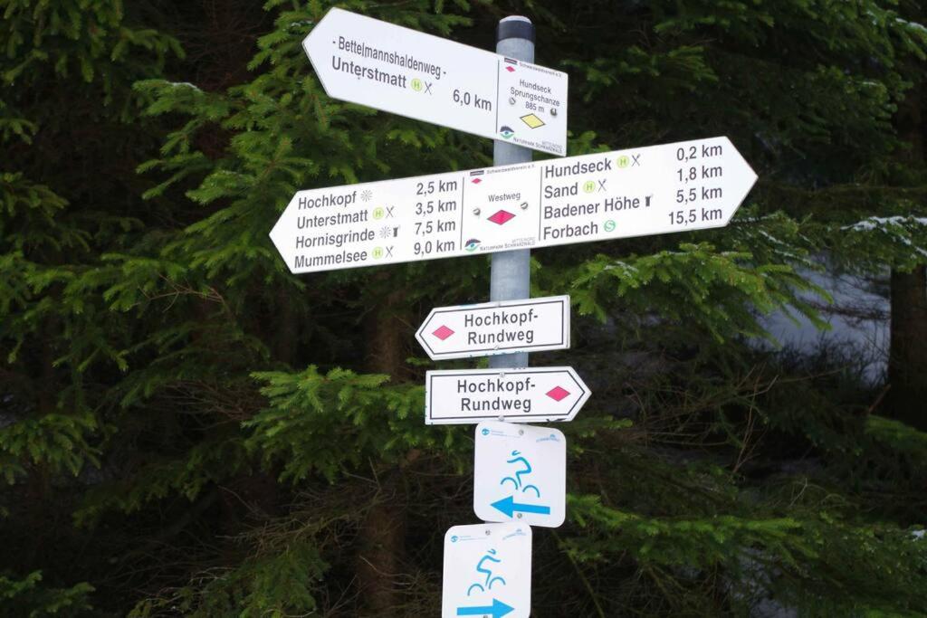 Natur pur im Nationalpark Schwarzwald